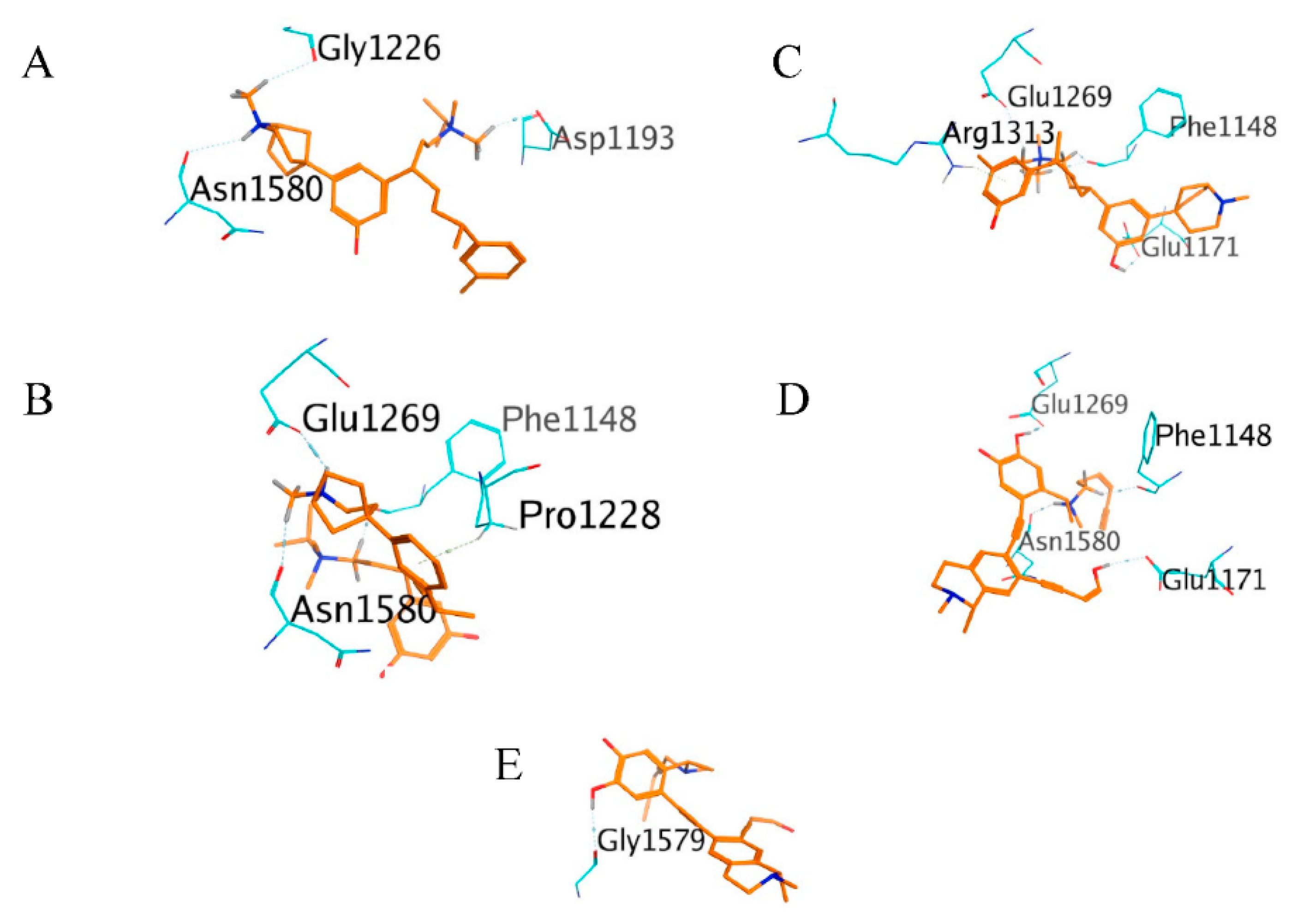 Molecules 26 00375 g007