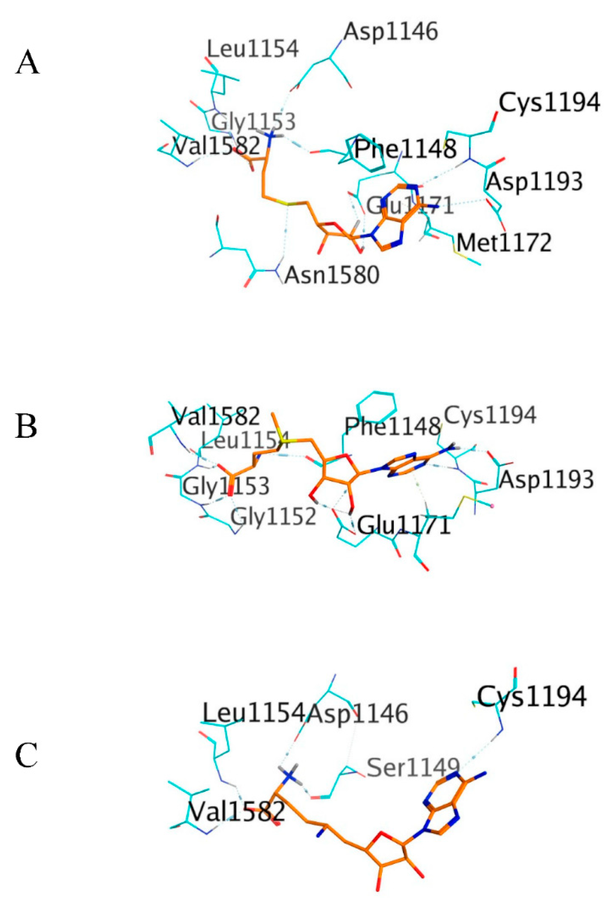 Molecules 26 00375 g008