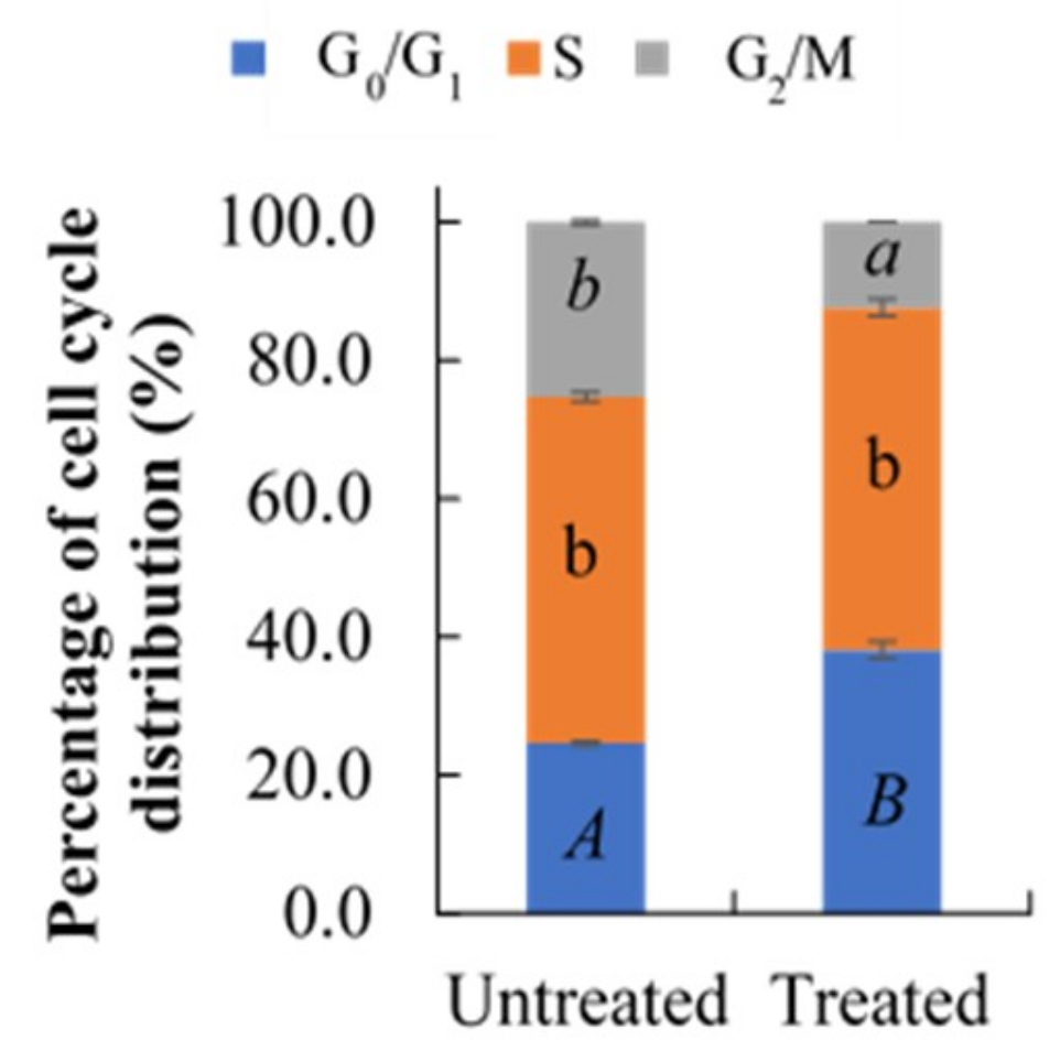 Molecules 26 00376 g002
