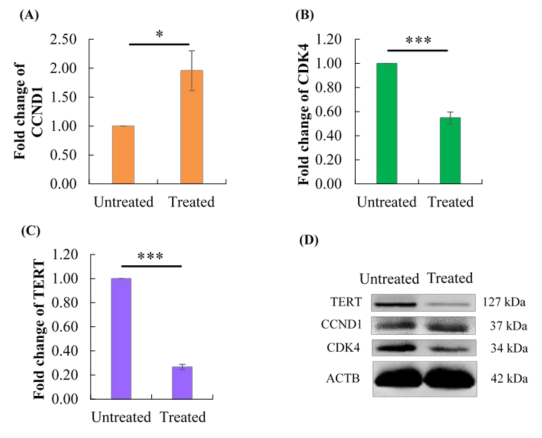 Molecules 26 00376 g007