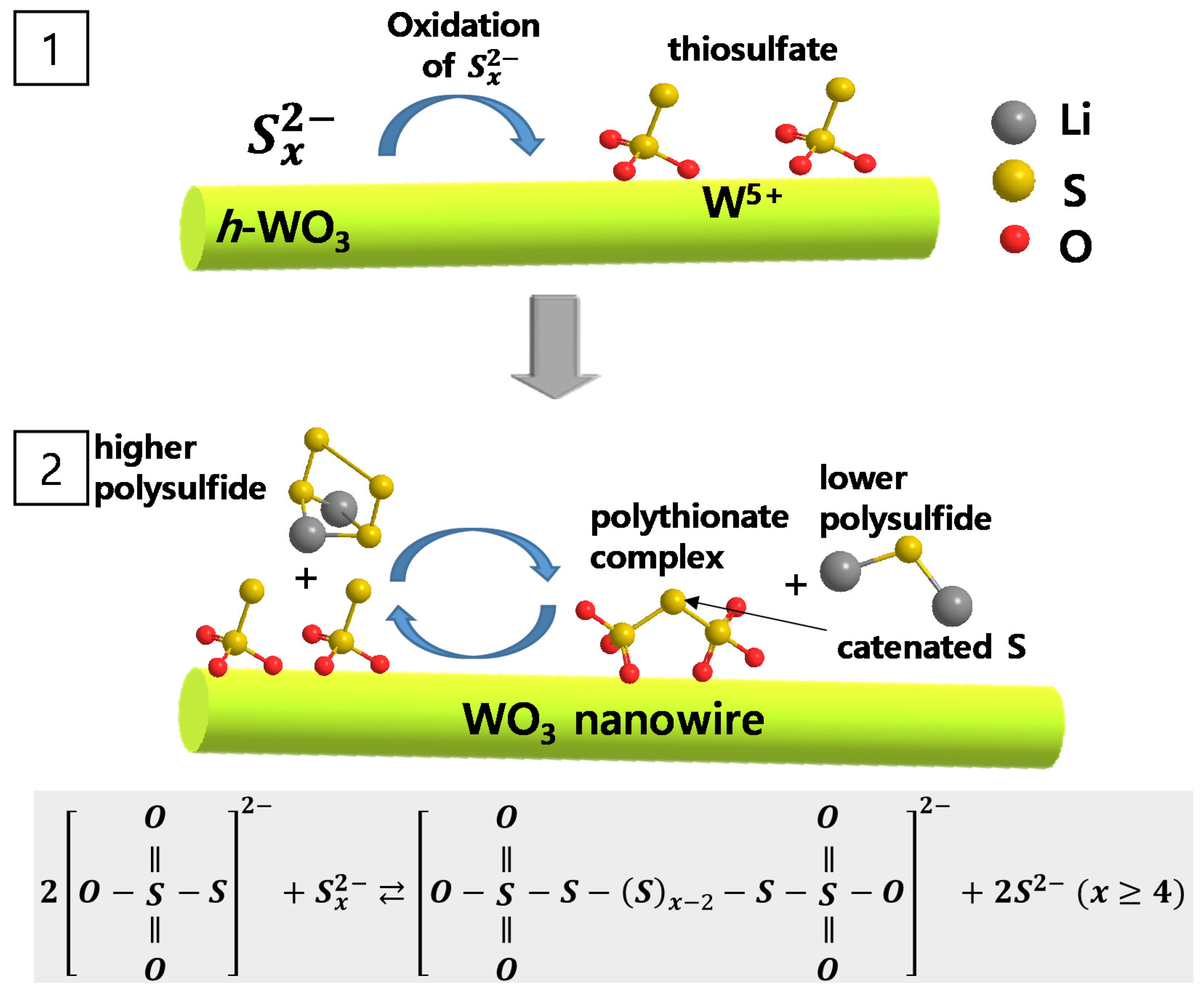 Molecules 26 00377 g003