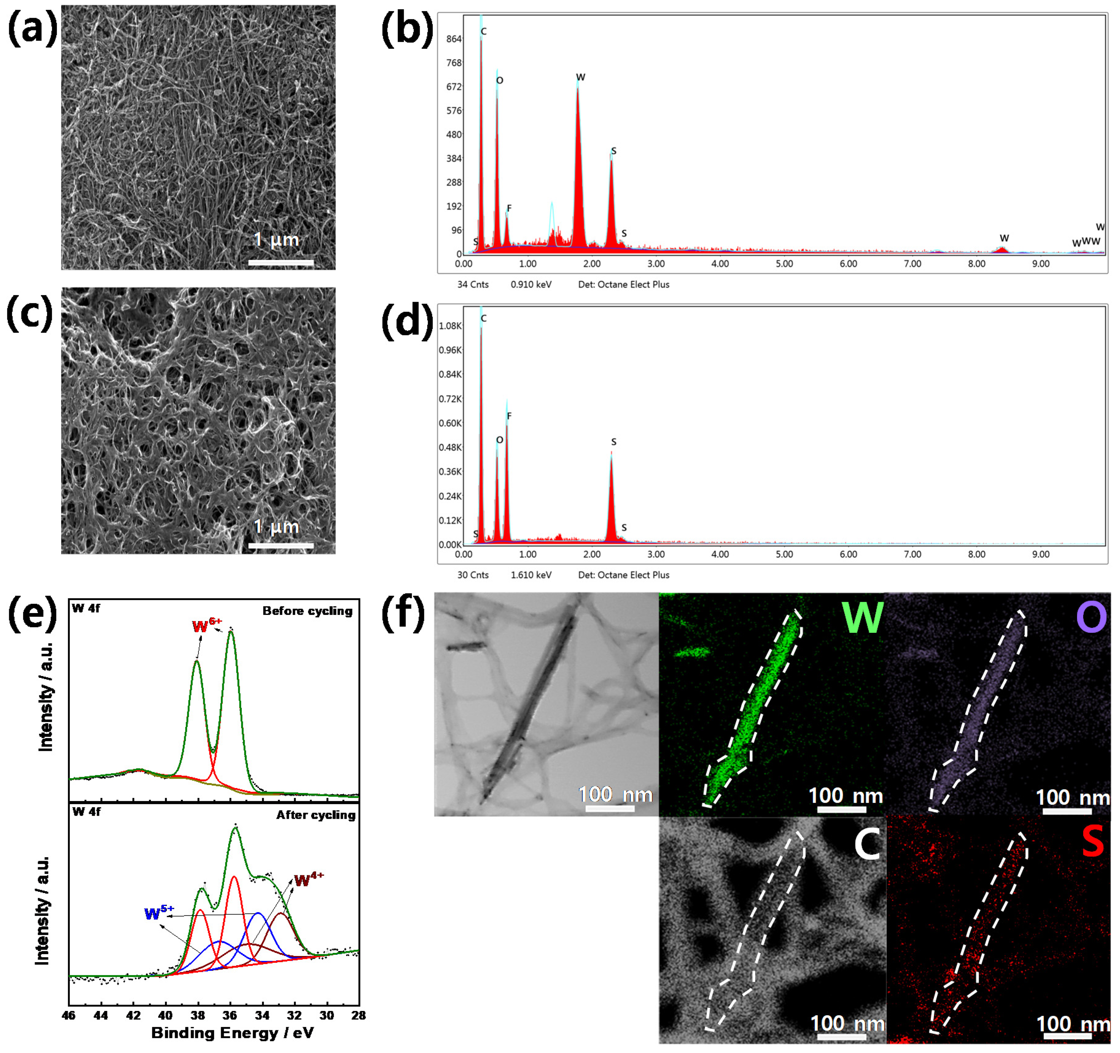 Molecules 26 00377 g007