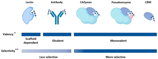 Molecules 26 00380 g001 550