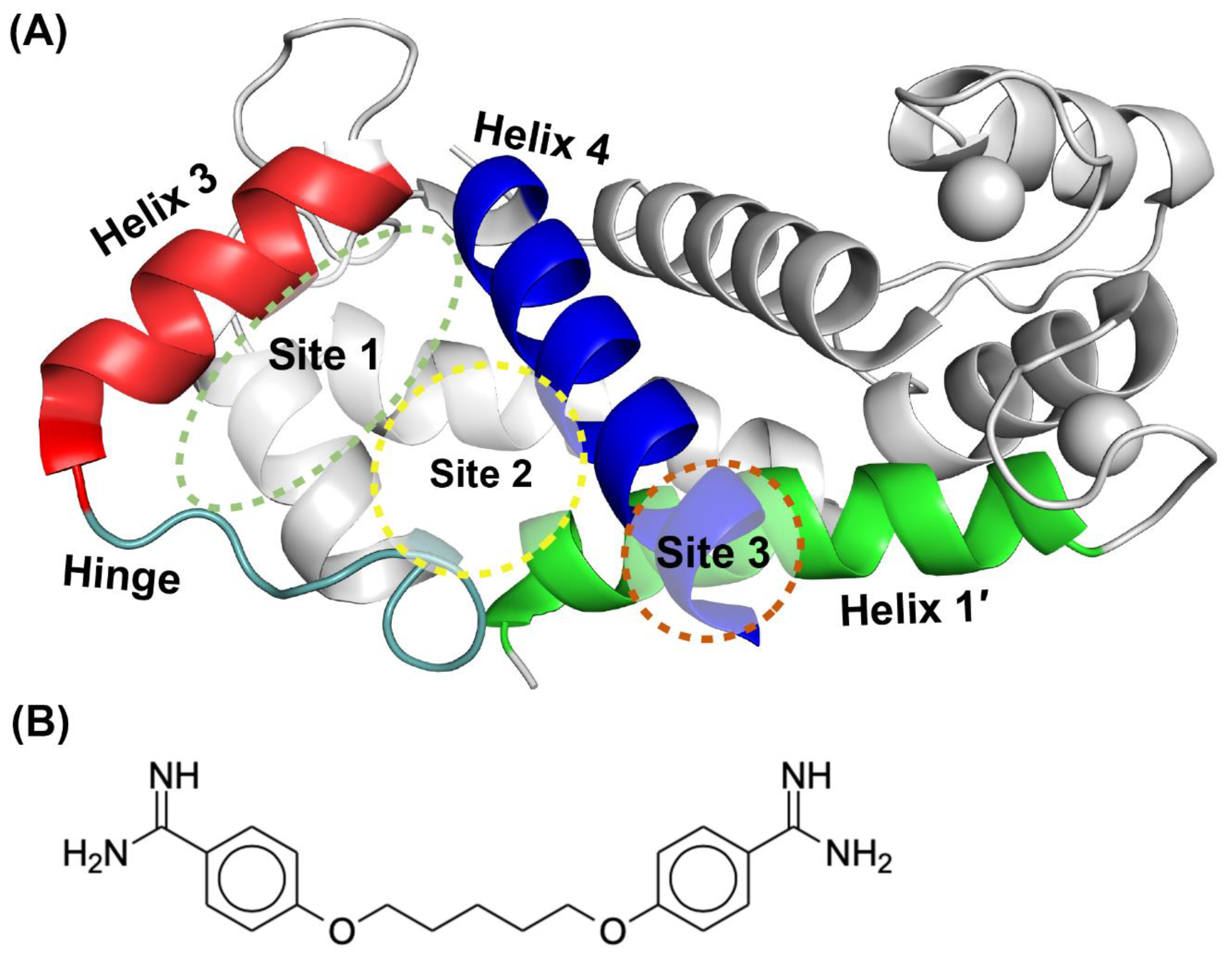 Molecules 26 00381 g001