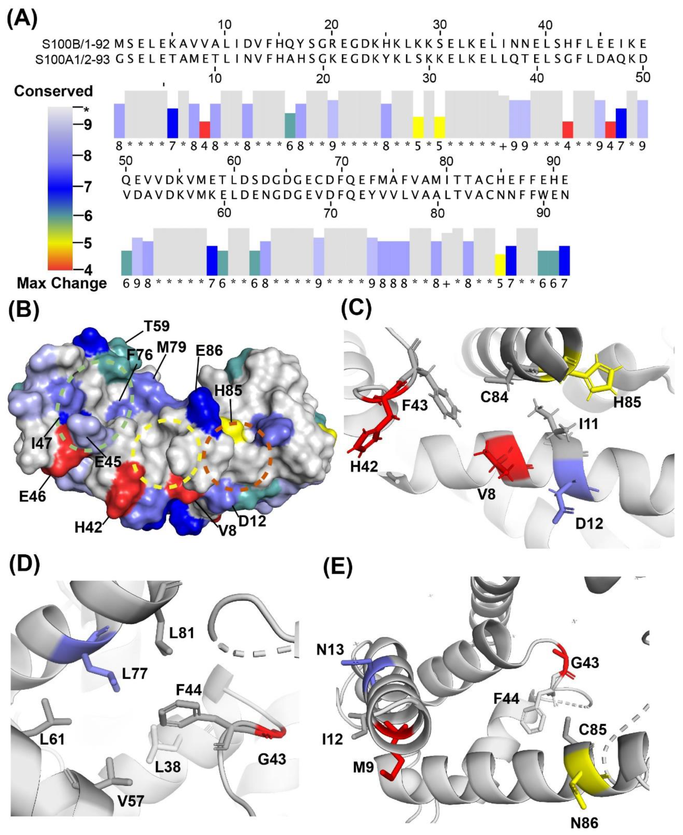 Molecules 26 00381 g009