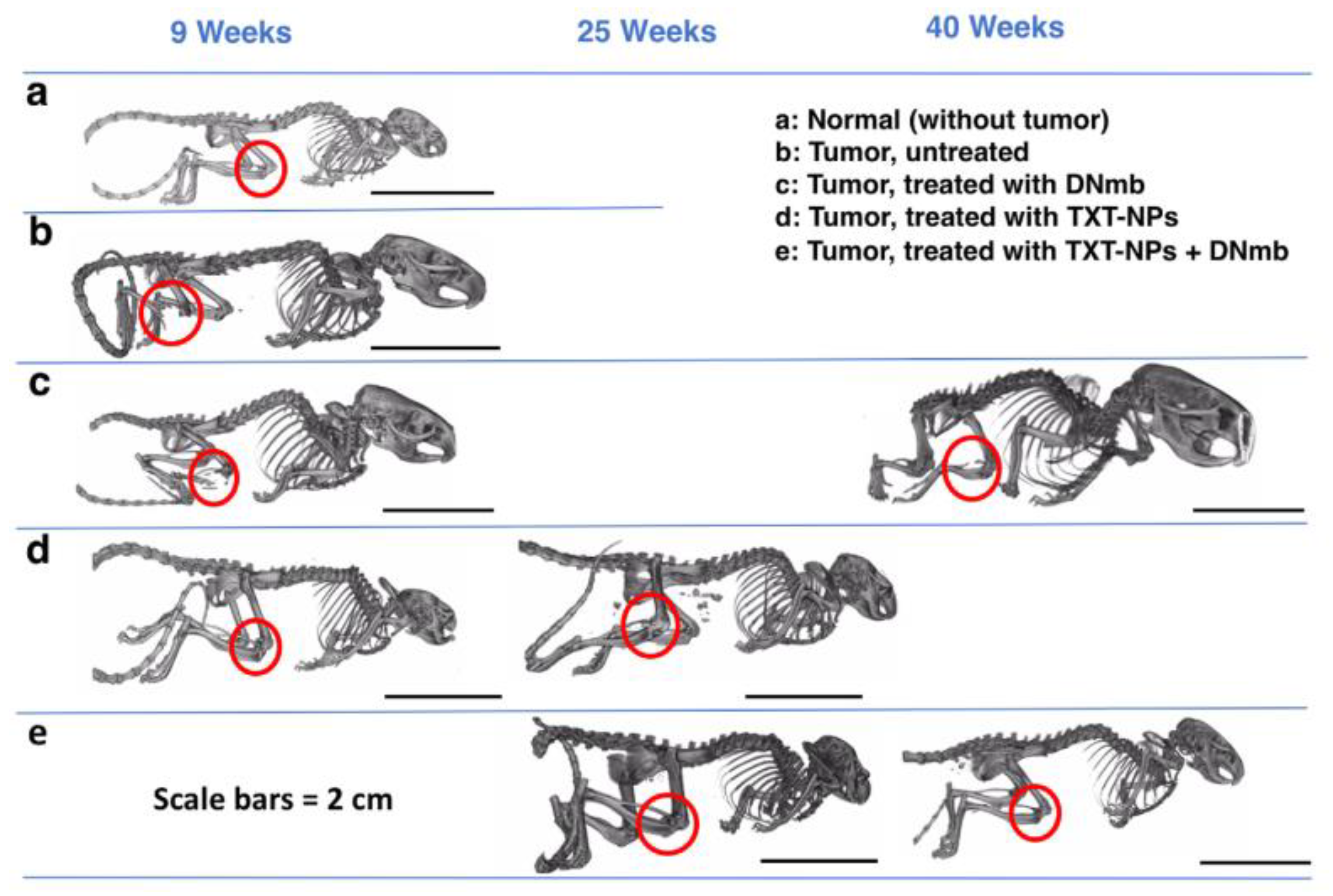 Molecules 26 00384 g002 Molecules 26 00384 g002