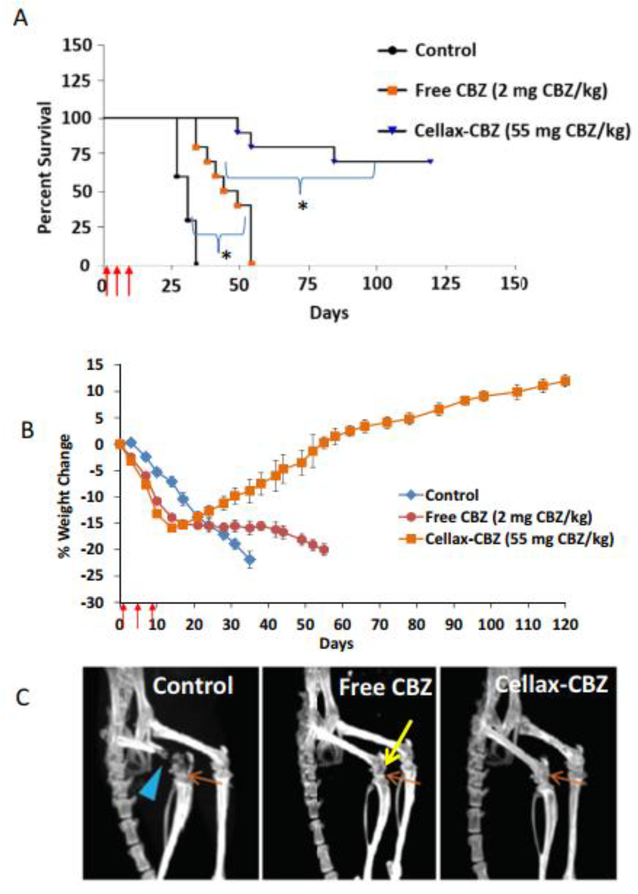 Molecules 26 00384 g003 Molecules 26 00384 g003