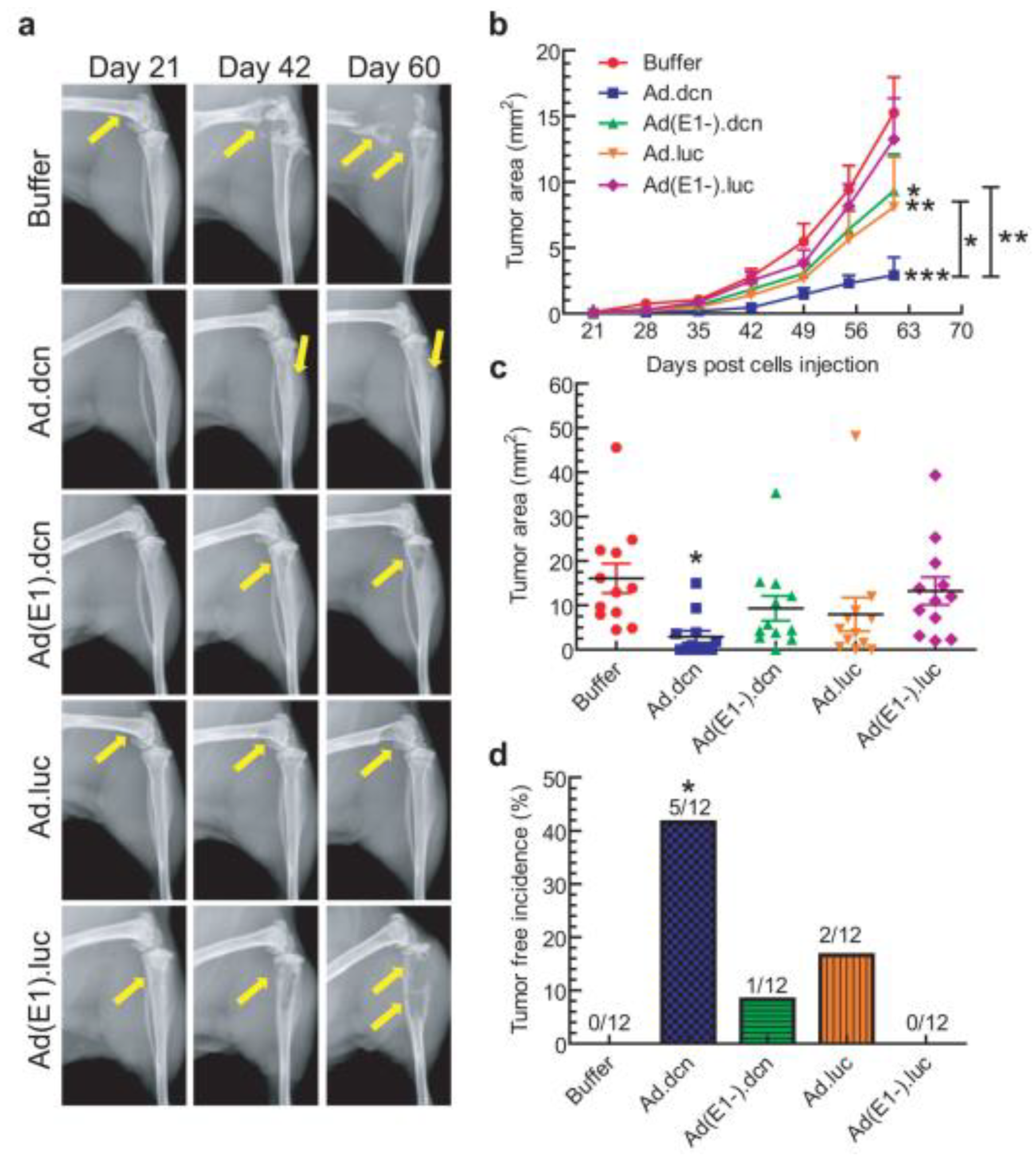 Molecules 26 00384 g004 Molecules 26 00384 g004