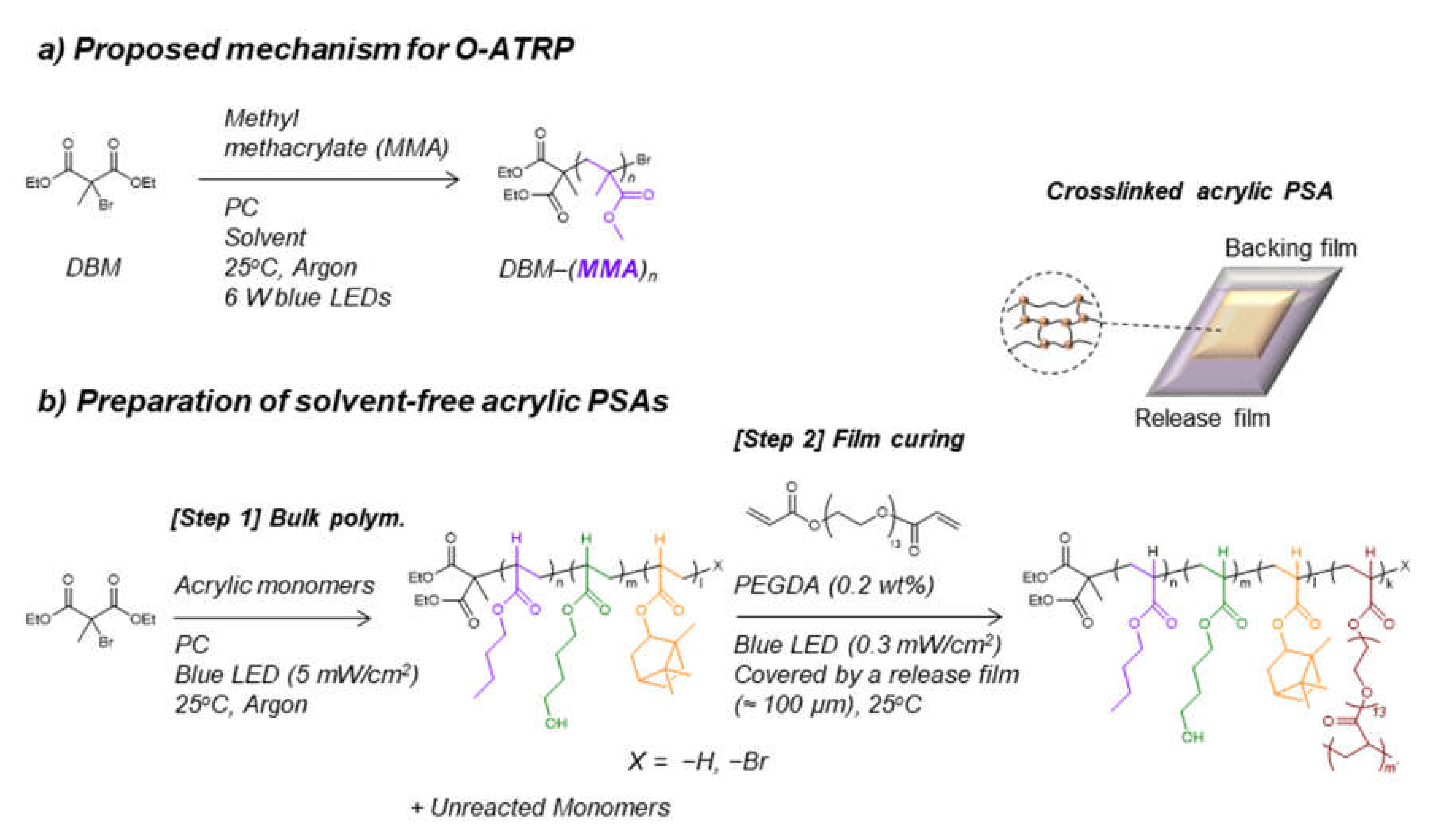 Molecules 26 00385 sch001