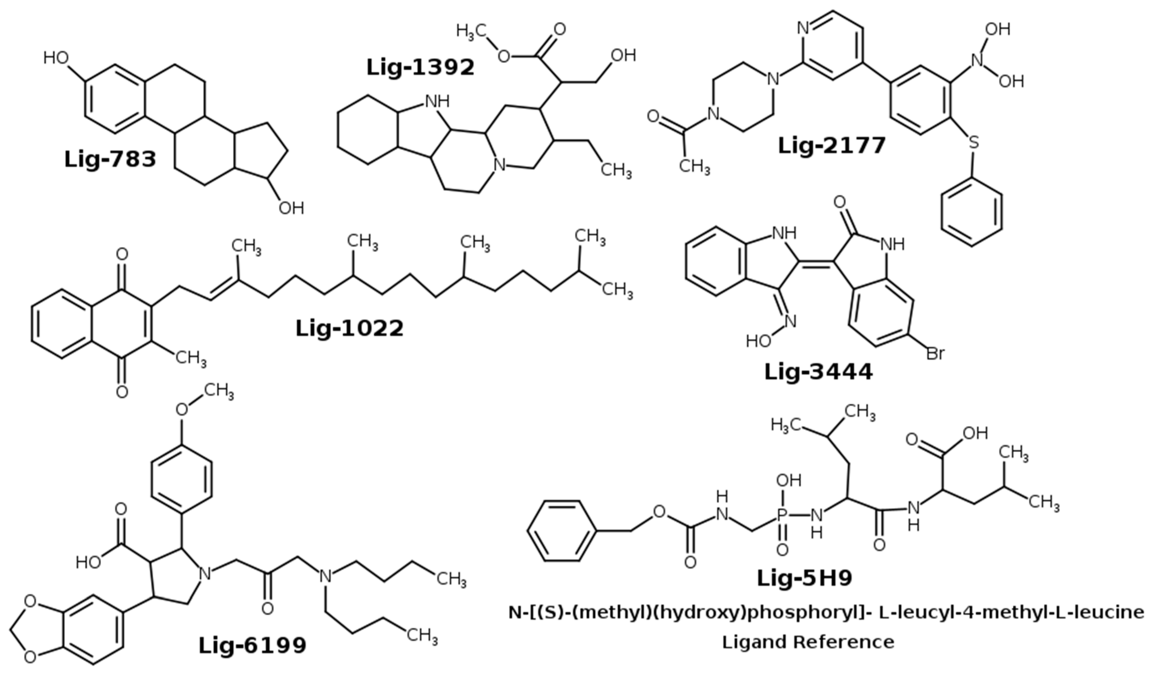 Molecules 26 00386 g001