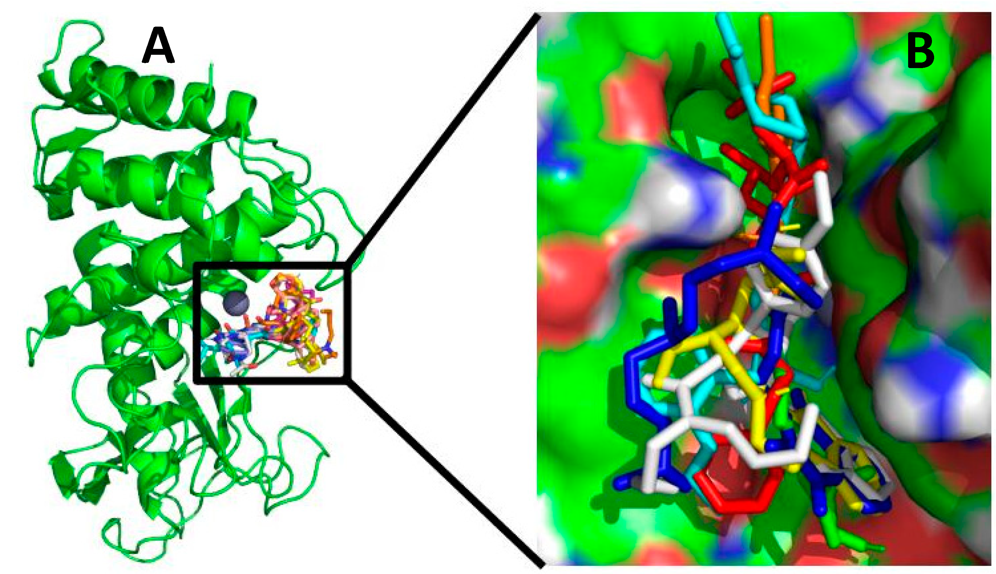Molecules 26 00386 g002