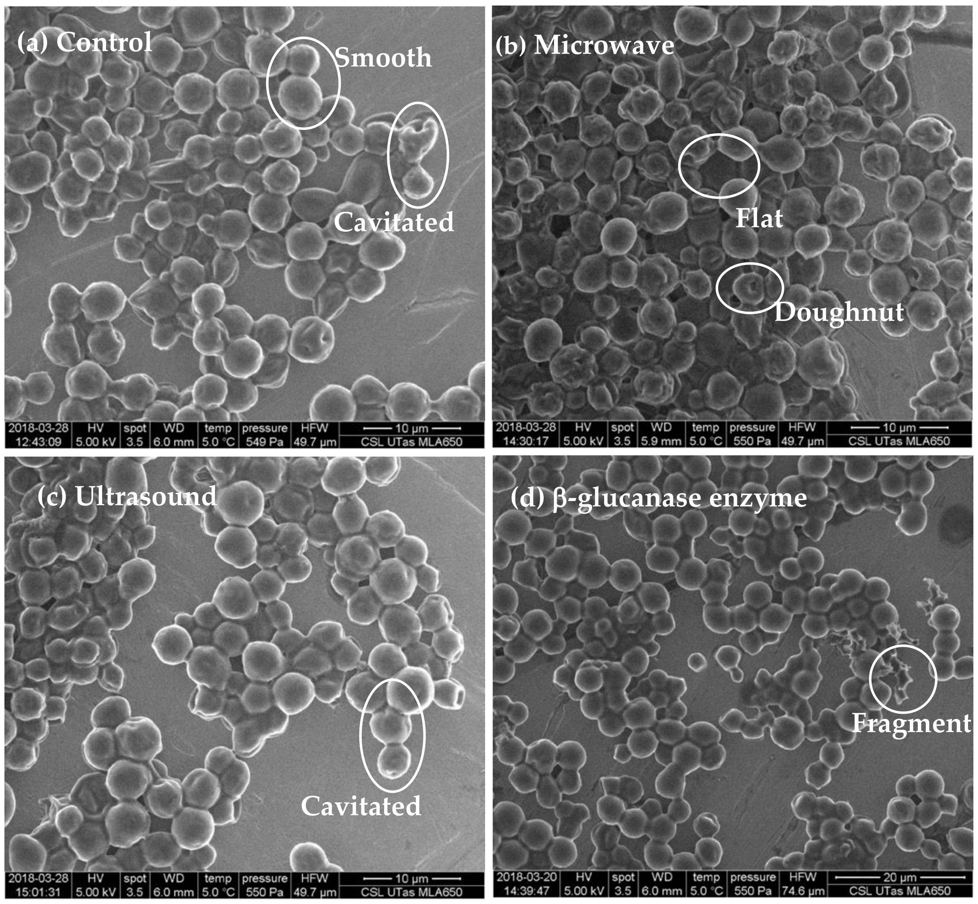 Molecules 26 00387 g001