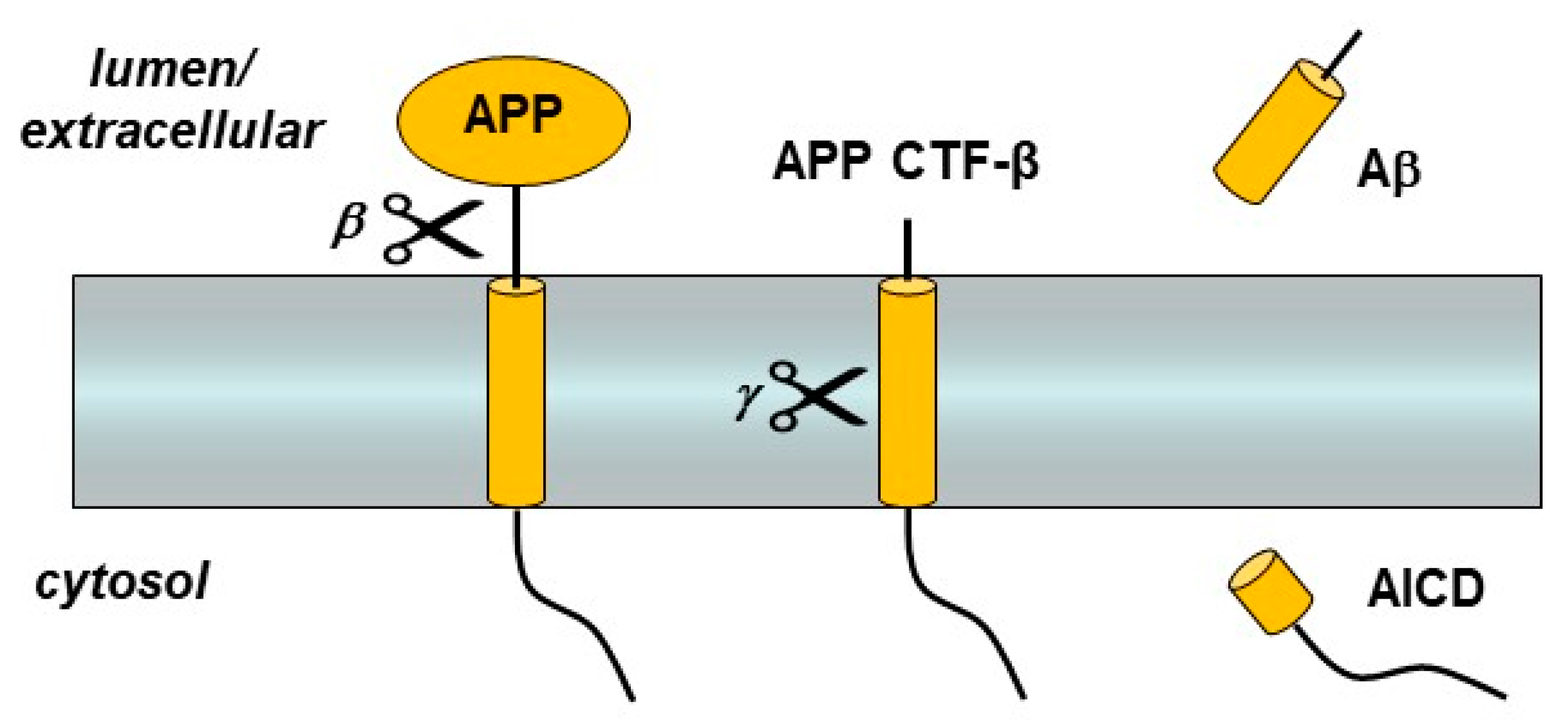 Molecules 26 00388 g001