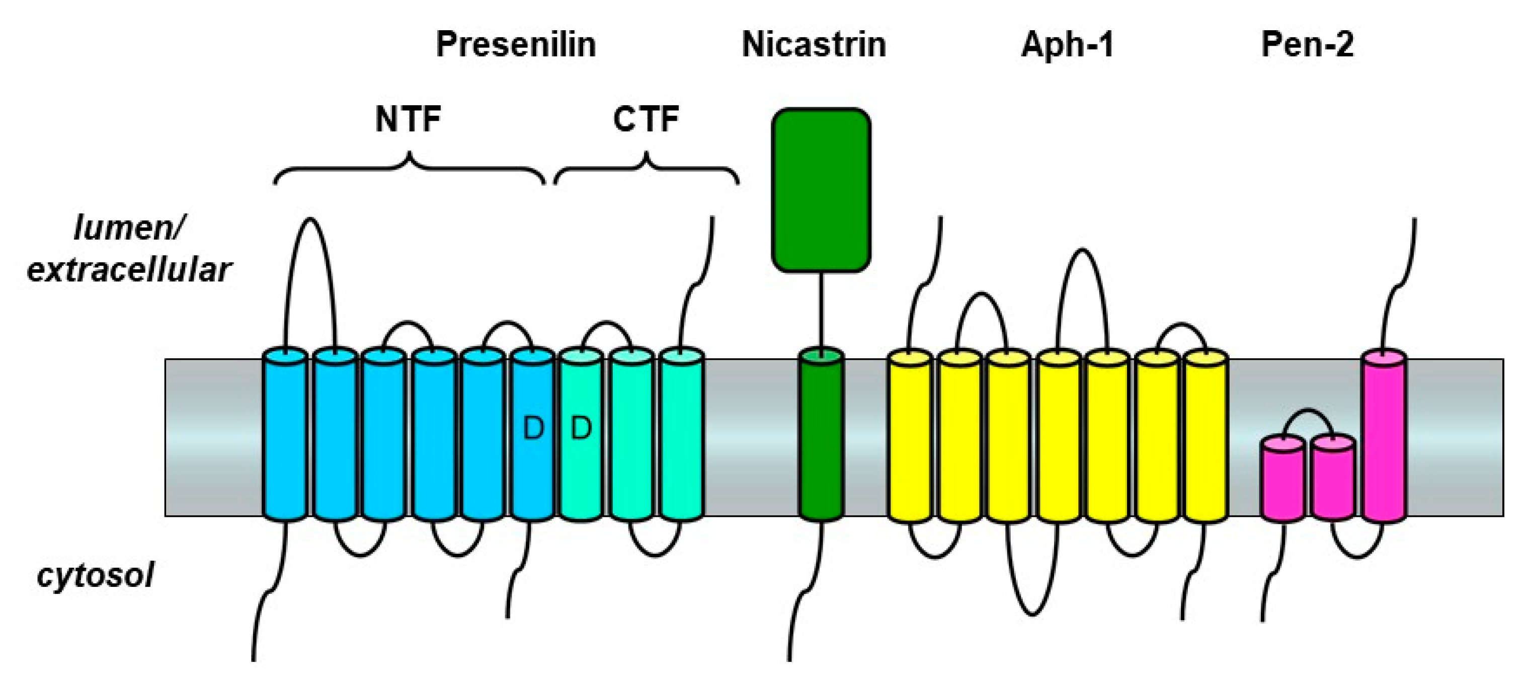 Molecules 26 00388 g002