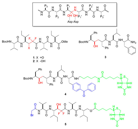 Probing Mechanisms and Therapeutic Potential of γ-Secretase in ...