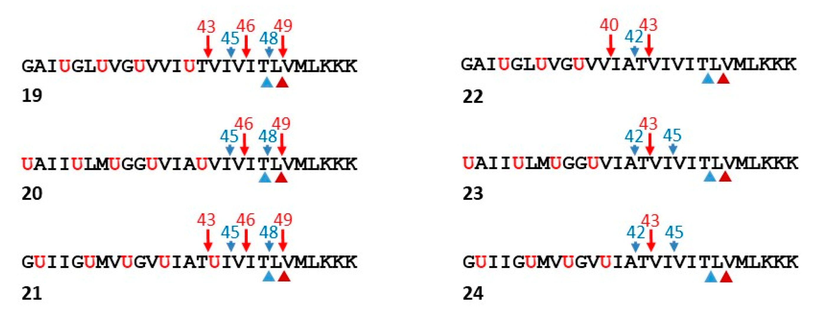 Molecules 26 00388 g008