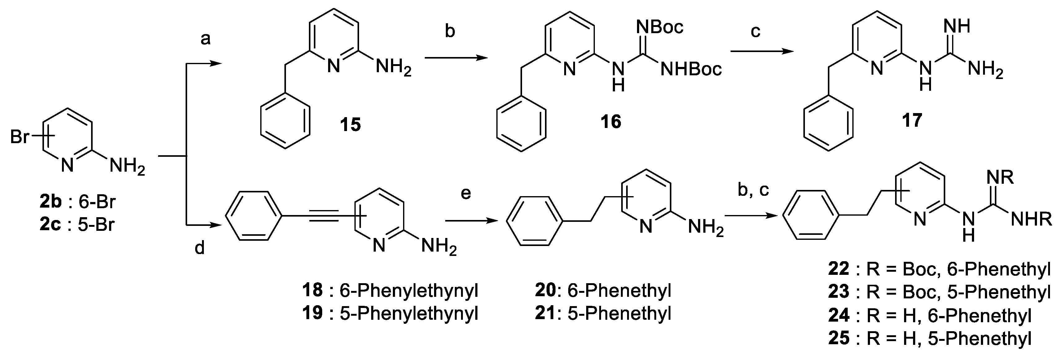 Molecules 26 00391 sch002 Molecules 26 00391 sch002