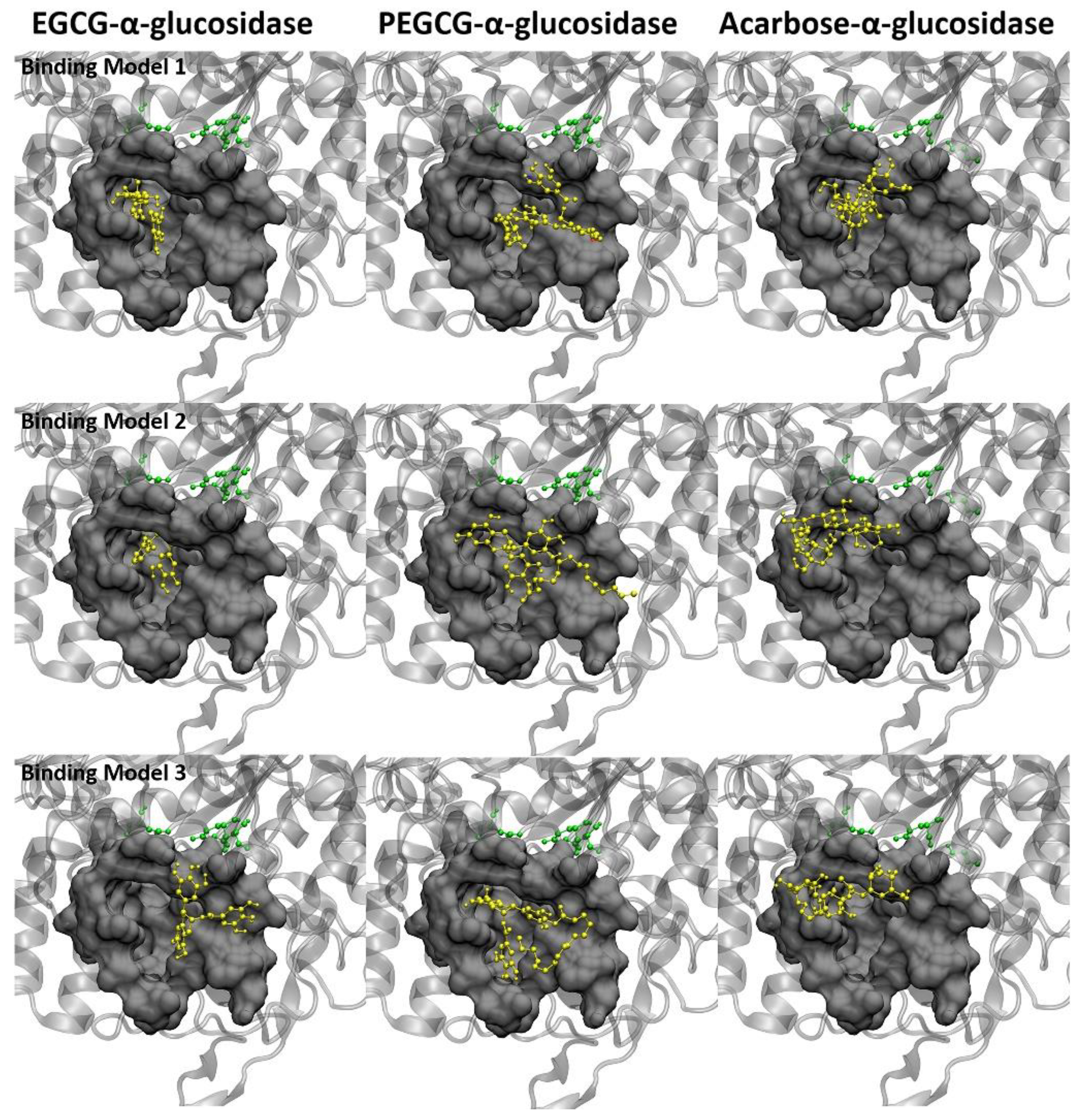 Molecules 26 00393 g005