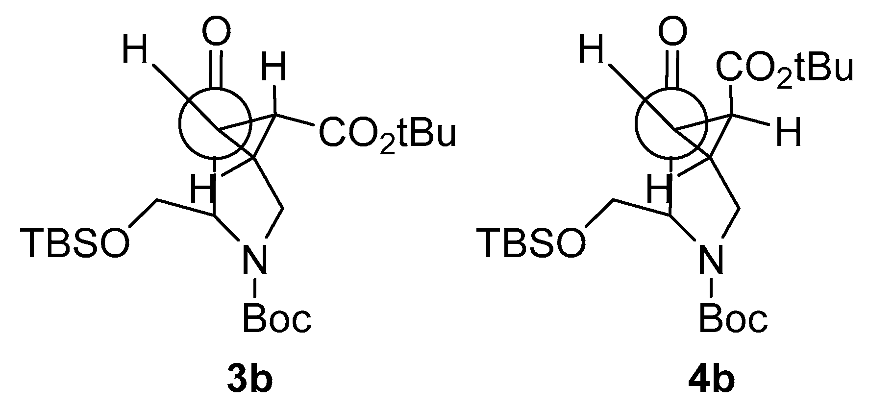 Molecules 26 00394 g004