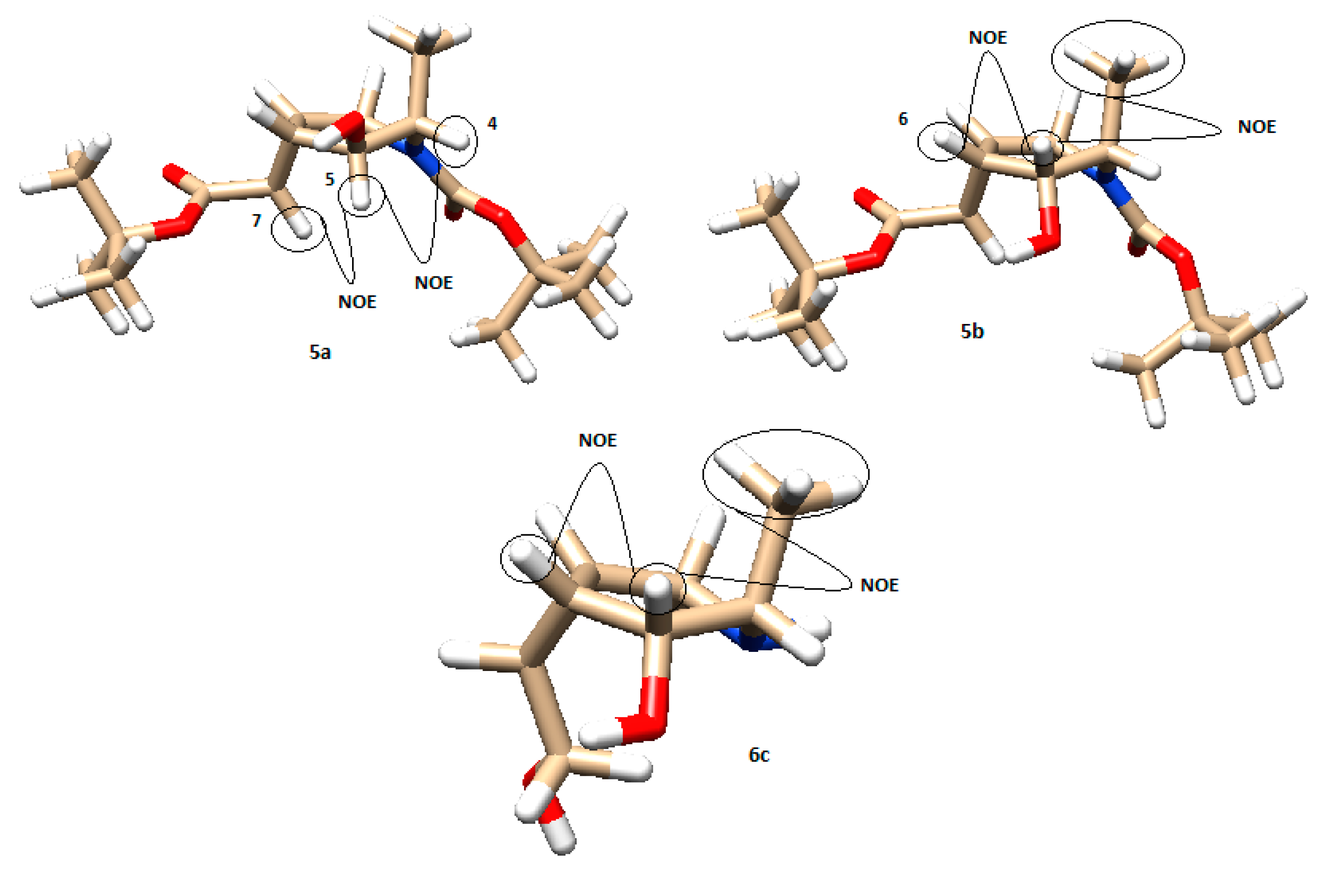 Molecules 26 00394 g005
