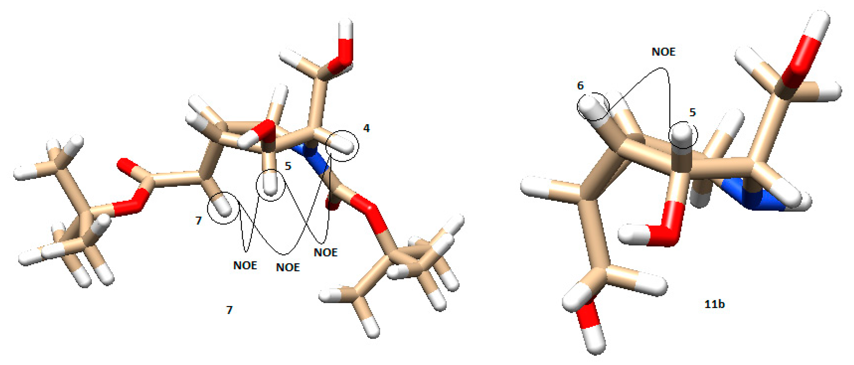 Molecules 26 00394 g006