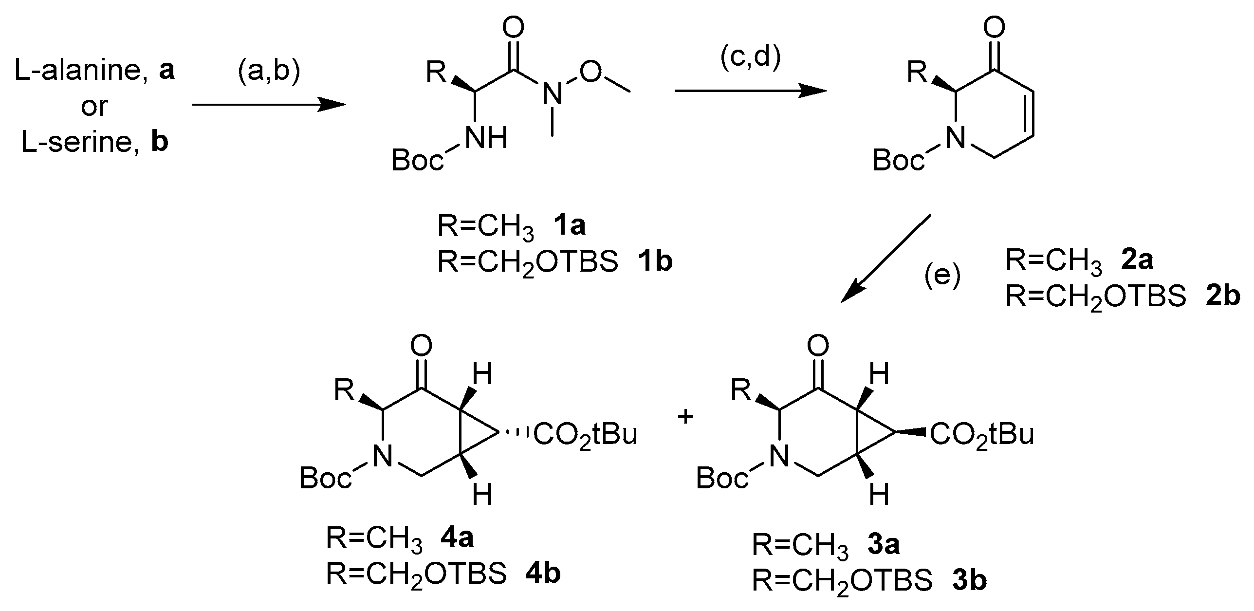 Molecules 26 00394 sch001