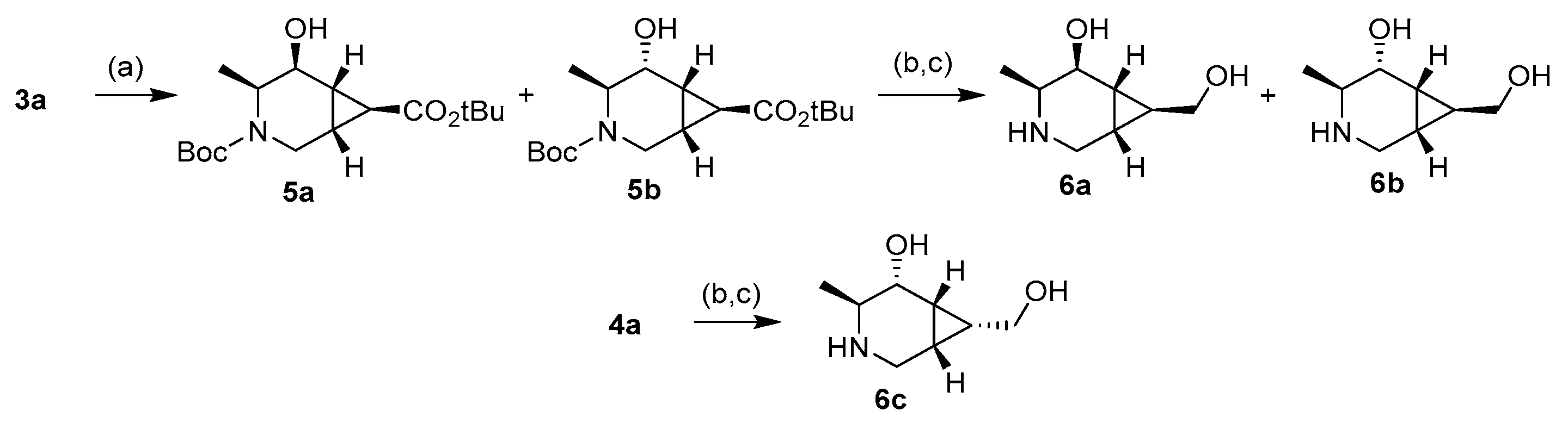 Molecules 26 00394 sch002