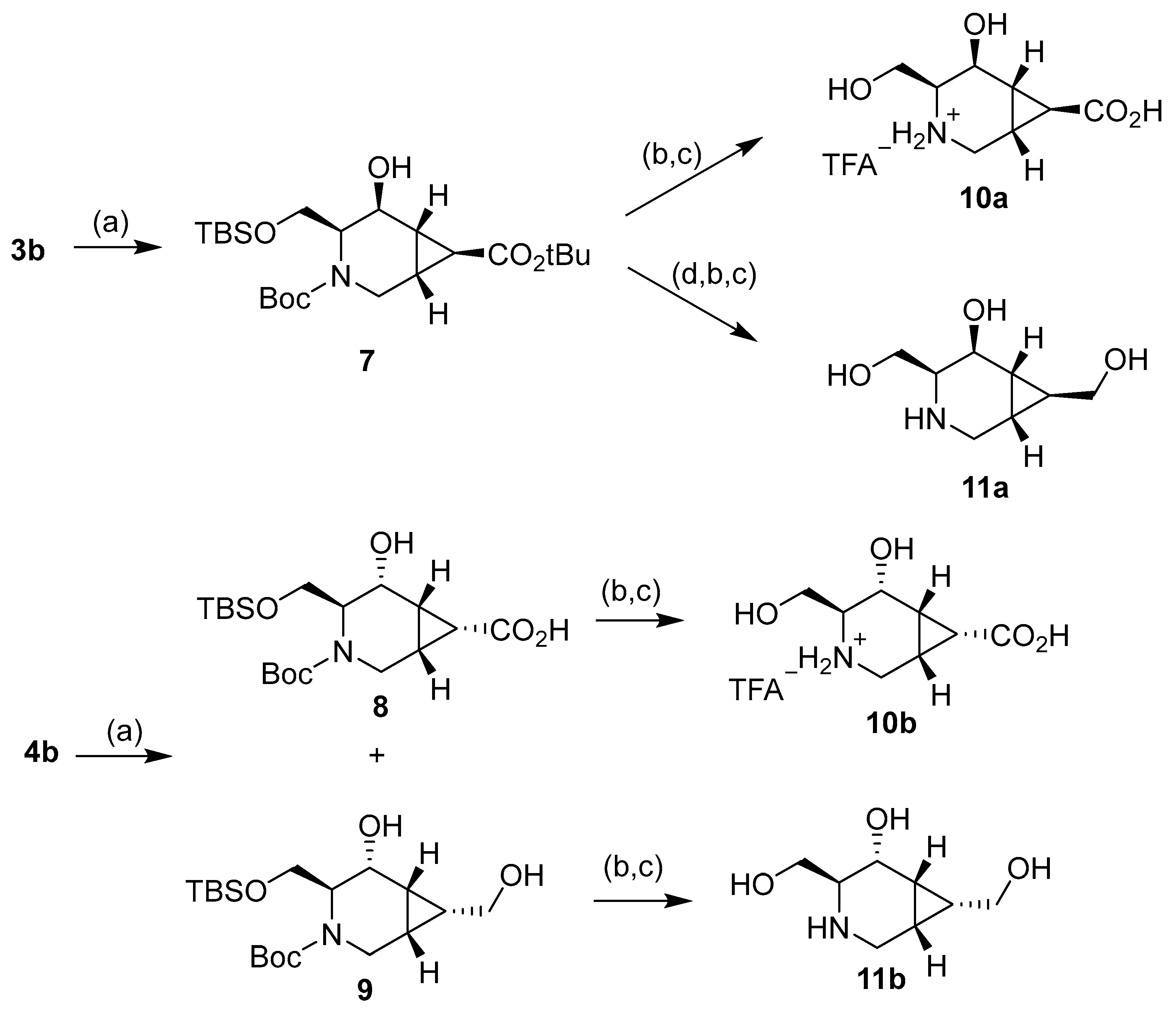 Molecules 26 00394 sch003