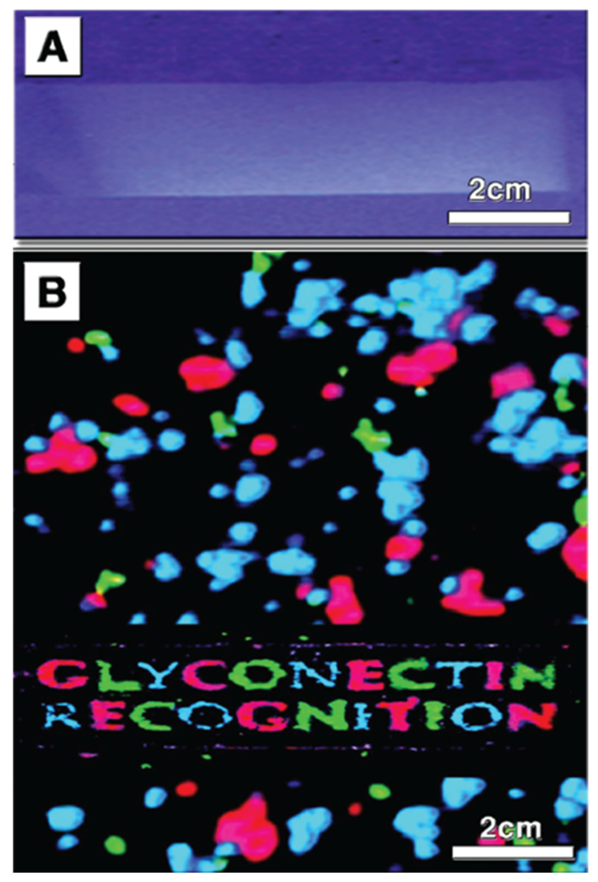Molecules 26 00397 g007