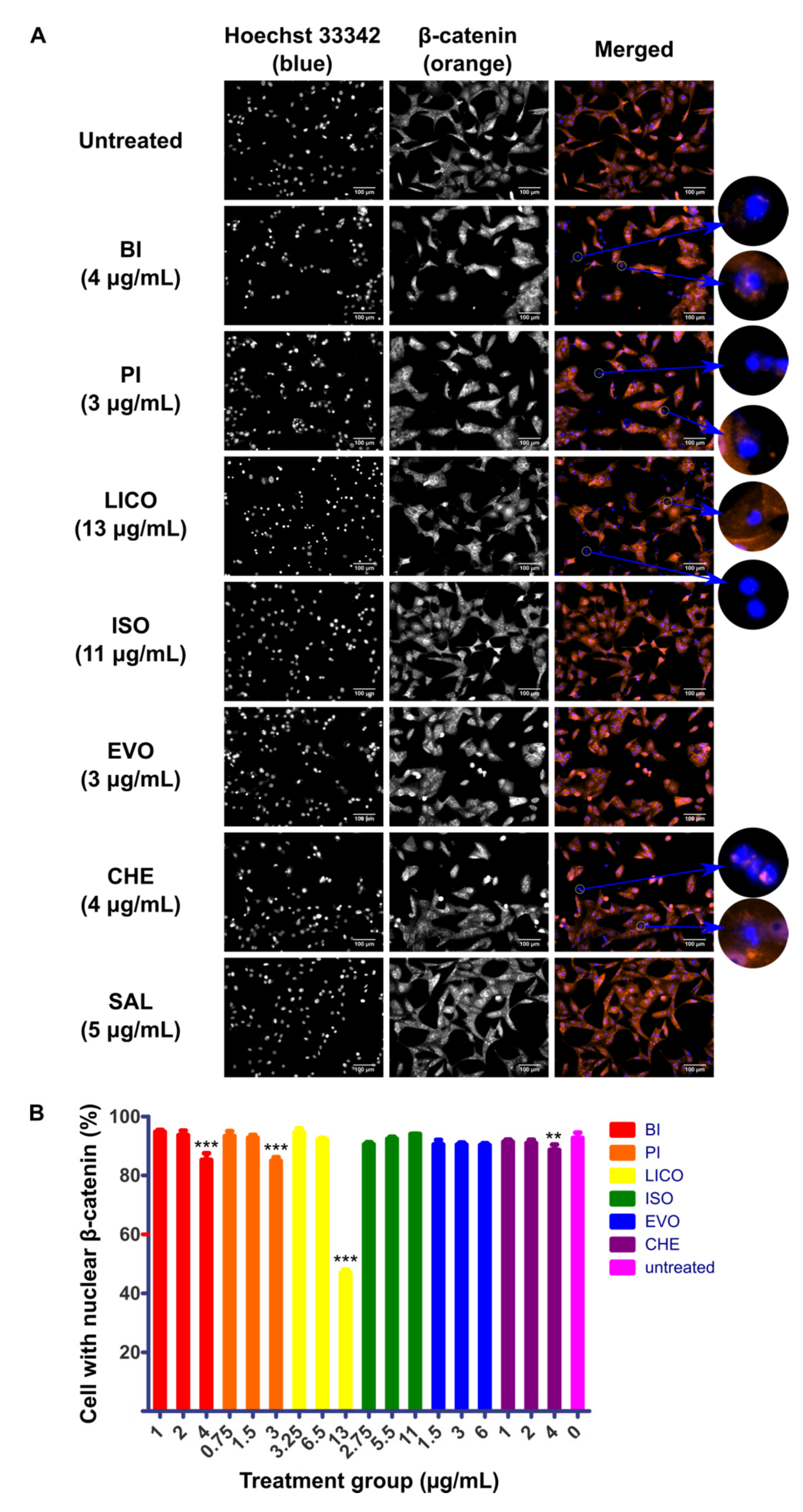 Molecules 26 00399 g002