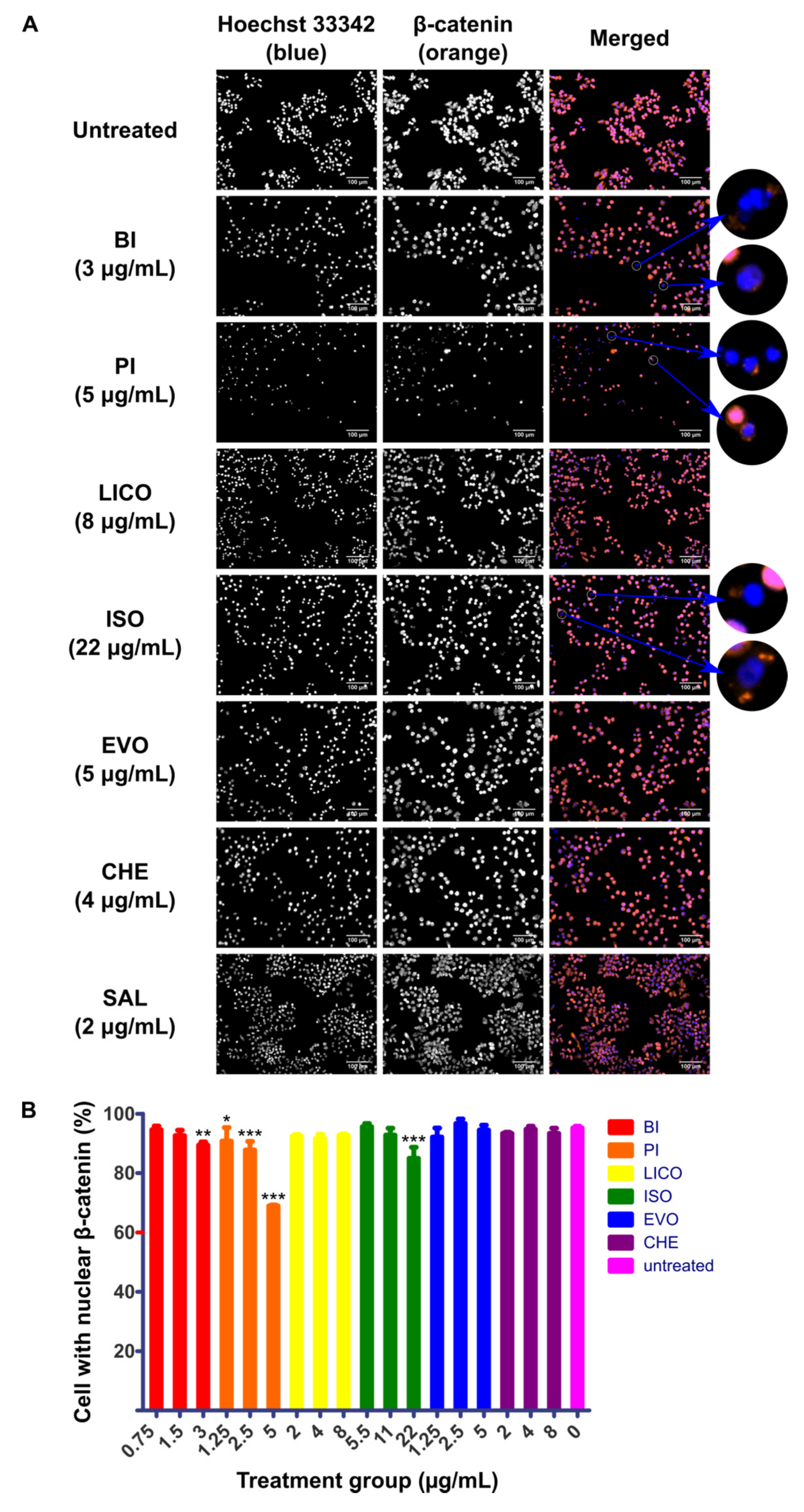Molecules 26 00399 g003