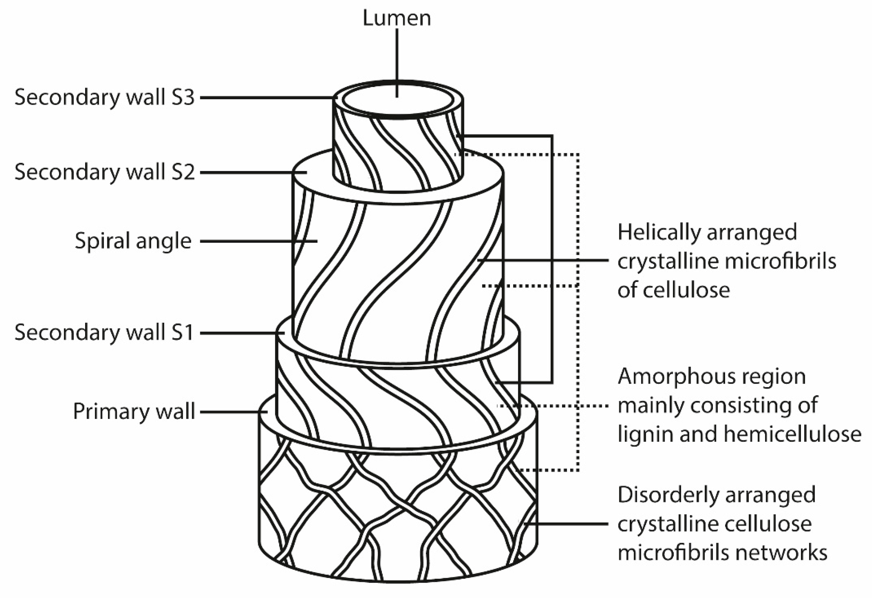 Molecules, Free Full-Text