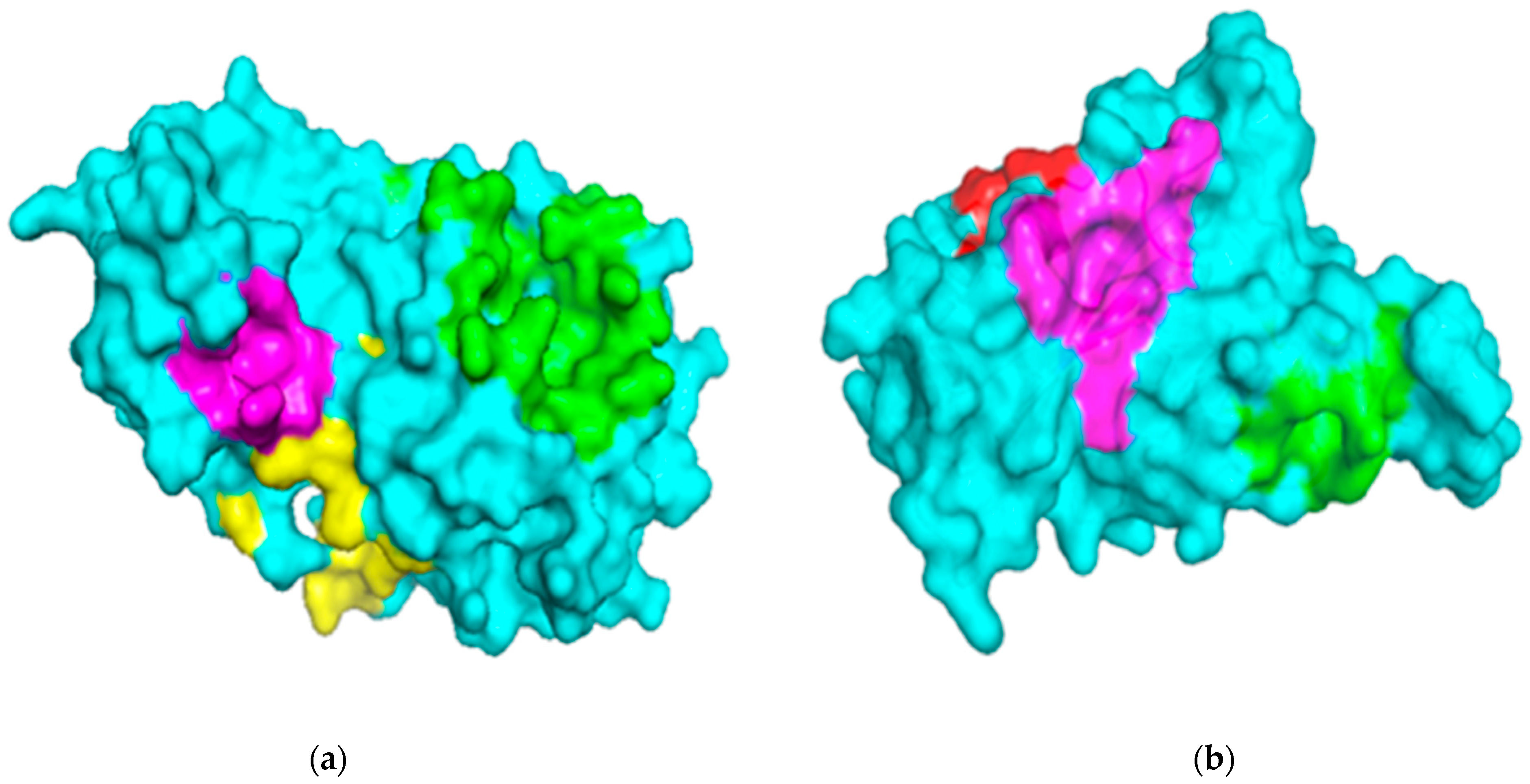 Molecules 26 00406 g001 Molecules 26 00406 g001