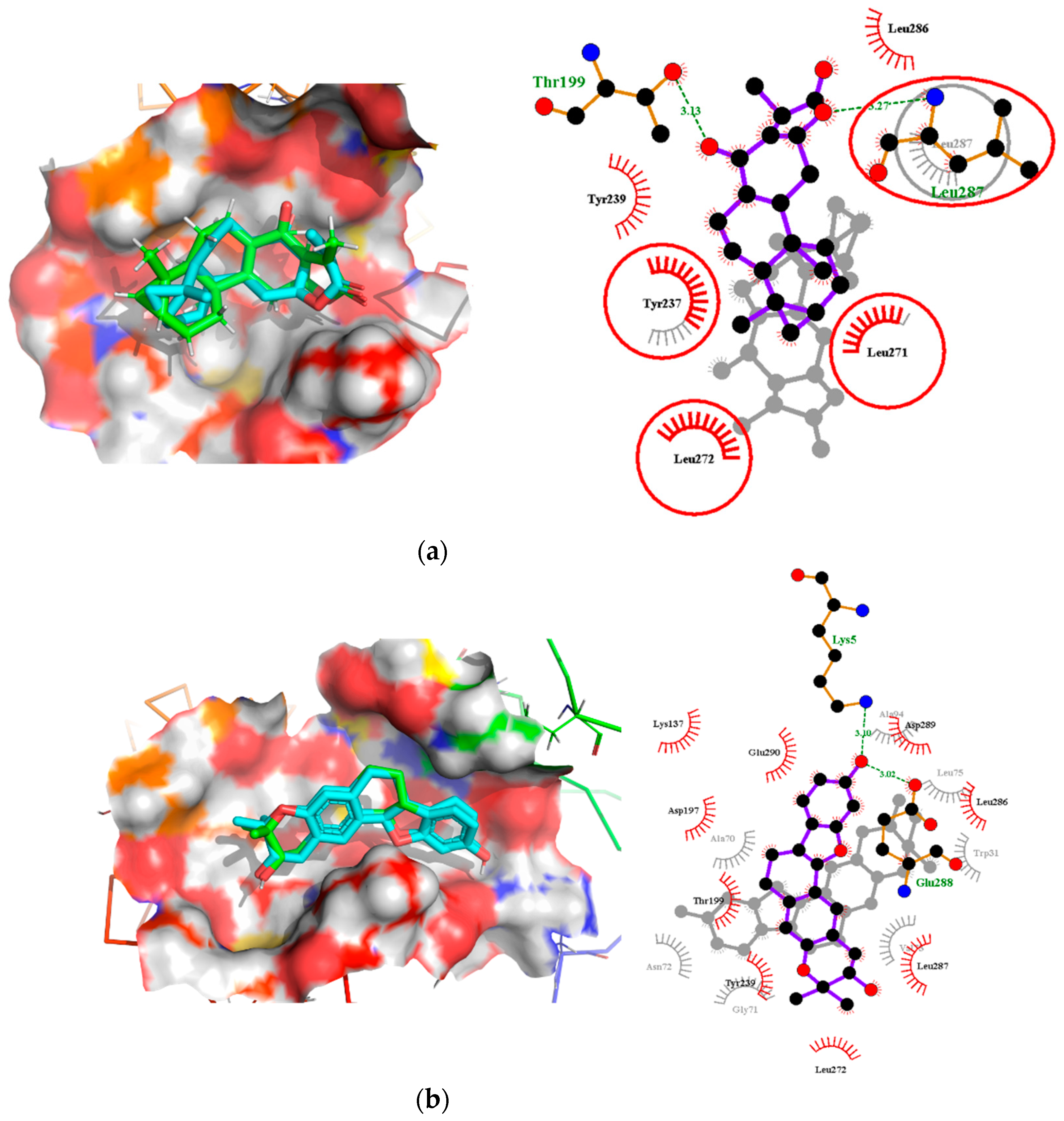 Molecules 26 00406 g007 Molecules 26 00406 g007