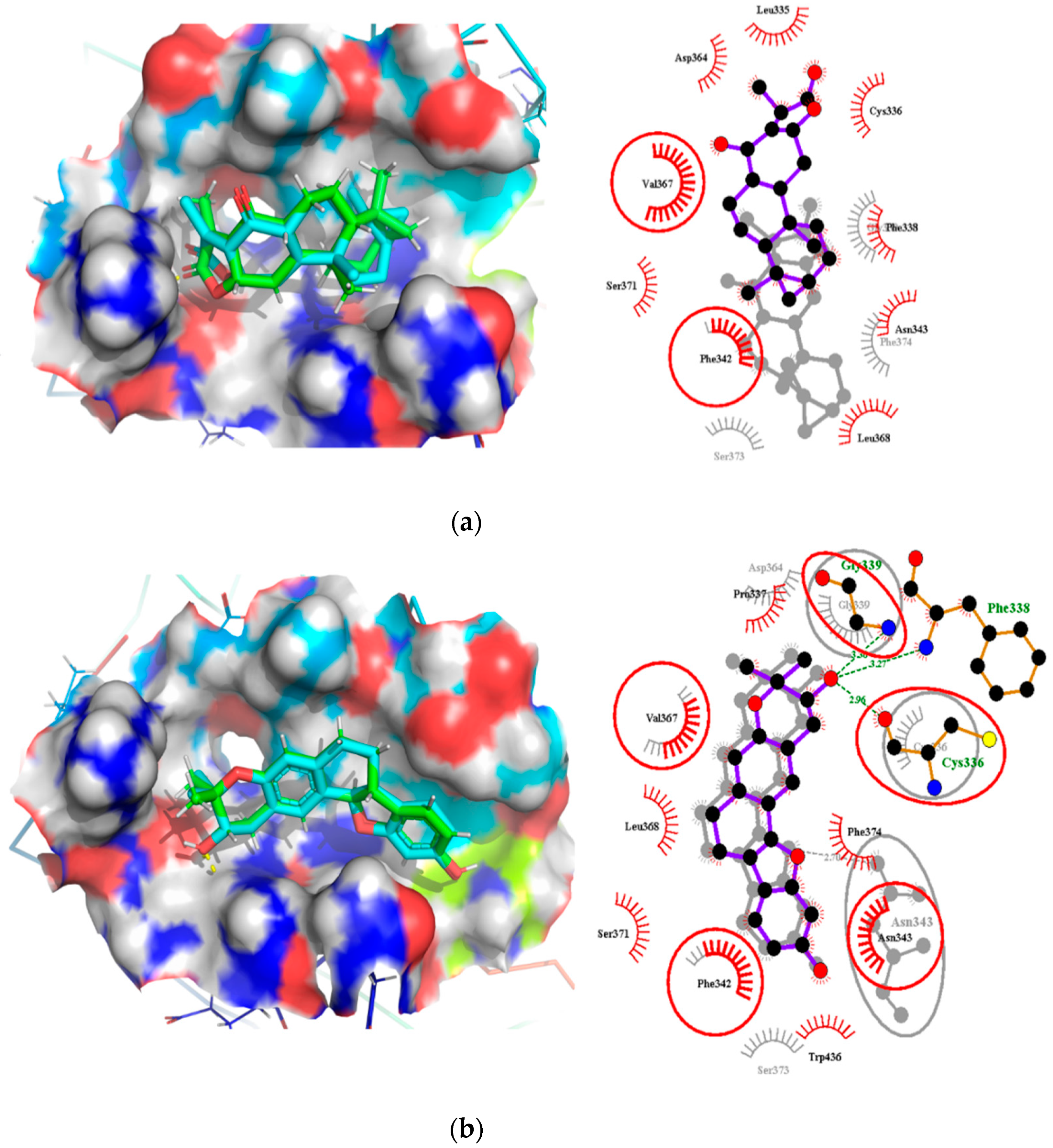 Molecules 26 00406 g008 Molecules 26 00406 g008