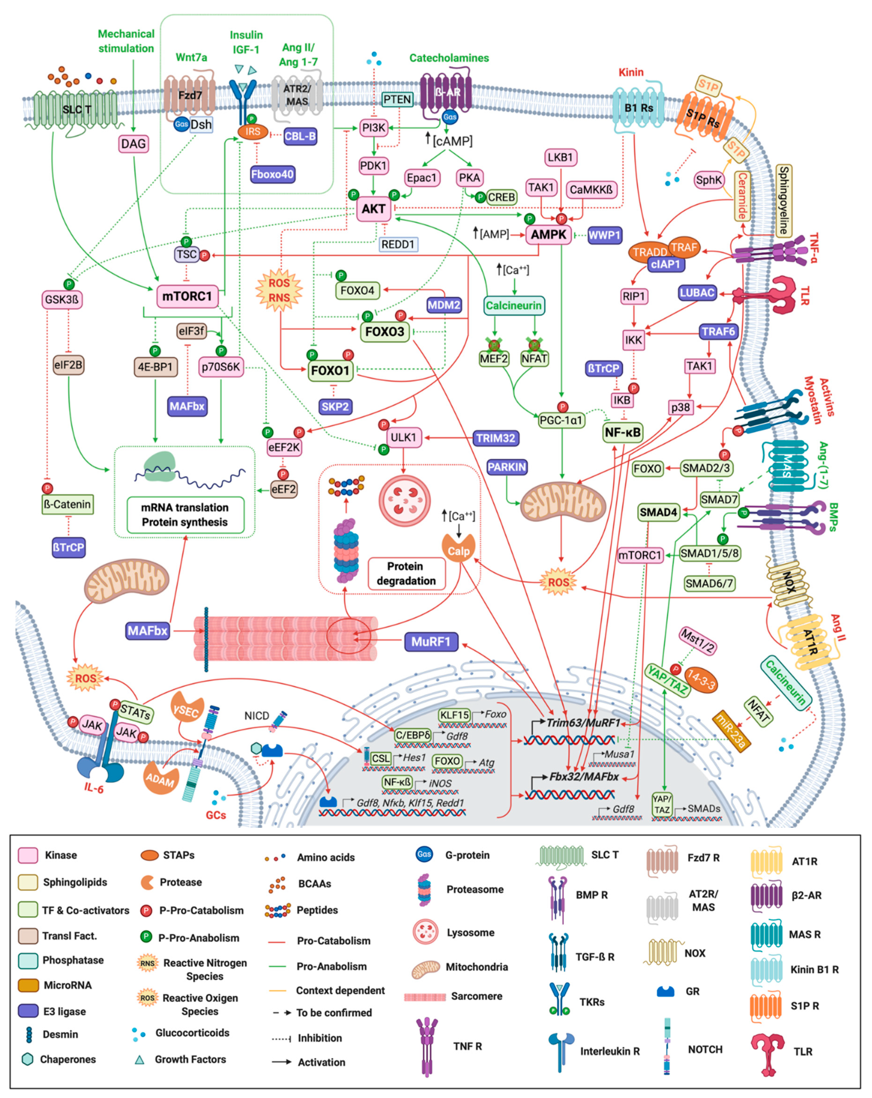 https://www.mdpi.com/molecules/molecules-26-00407/article_deploy/html/images/molecules-26-00407-g001.png