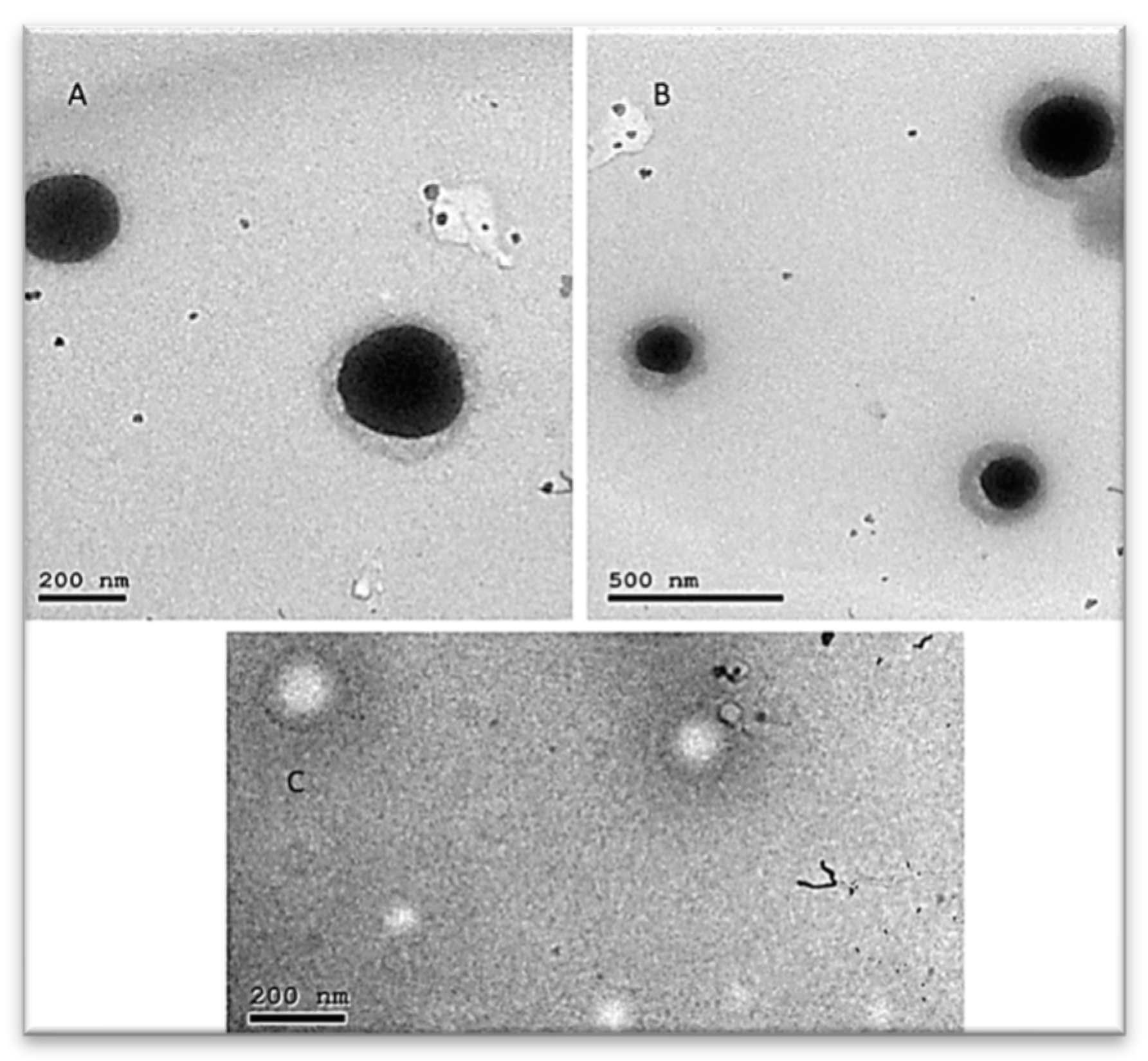 Molecules 26 00408 g005