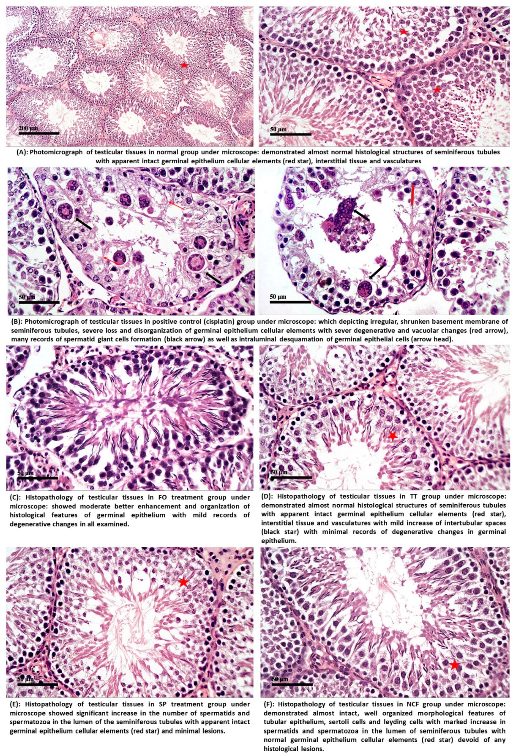 Molecules 26 00408 g010