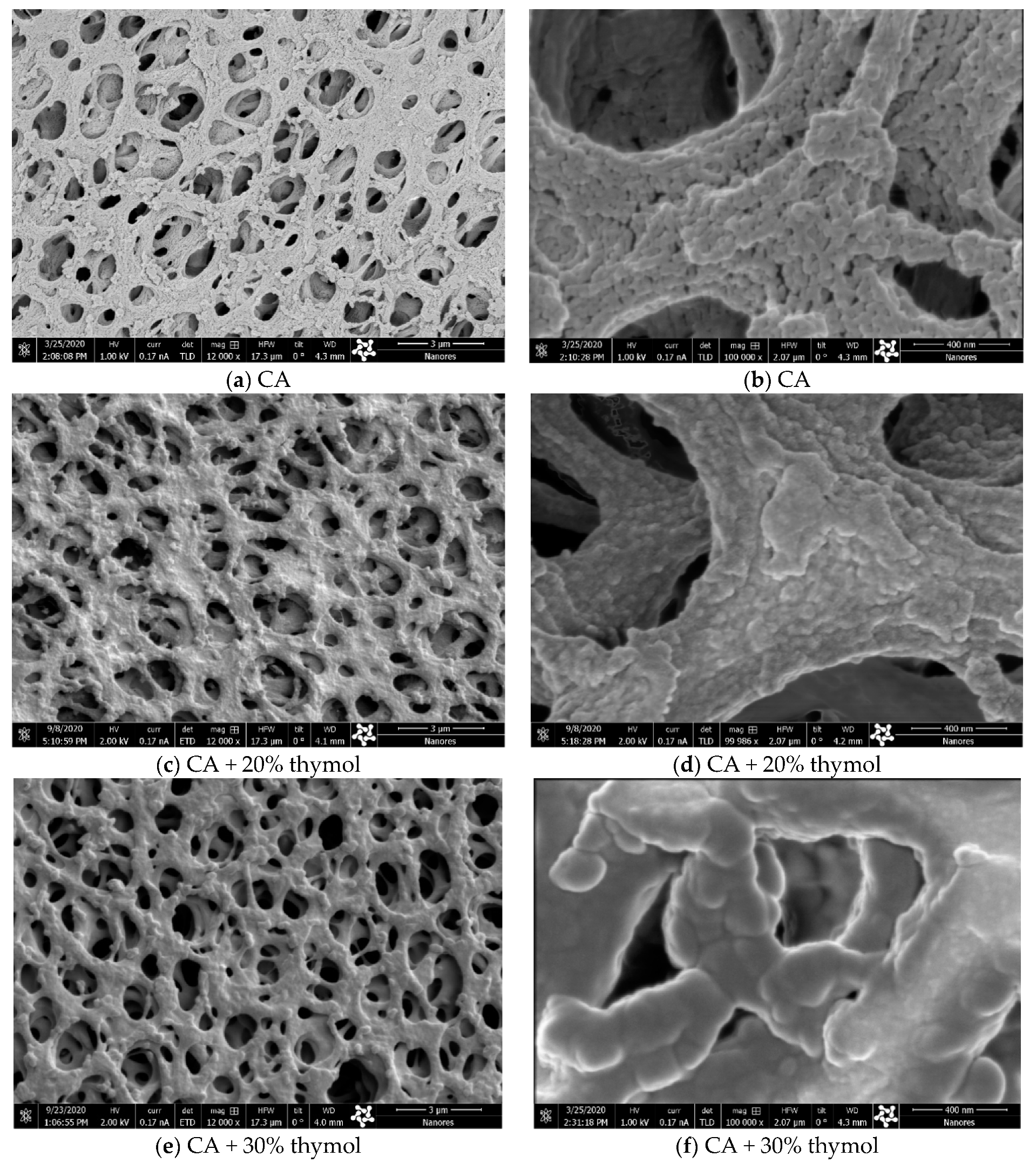 Molecules 26 00411 g003 Molecules 26 00411 g003