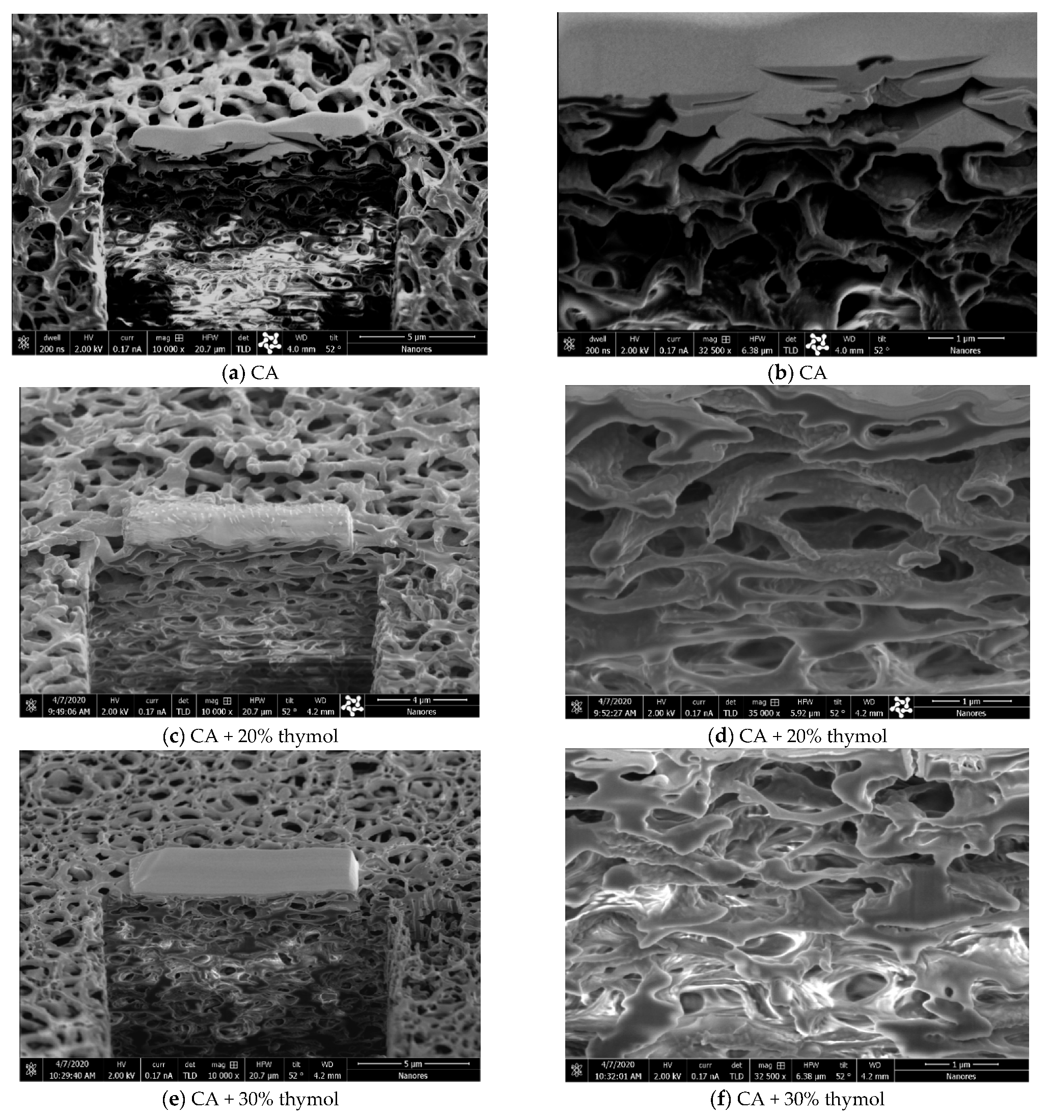 Molecules 26 00411 g004 Molecules 26 00411 g004