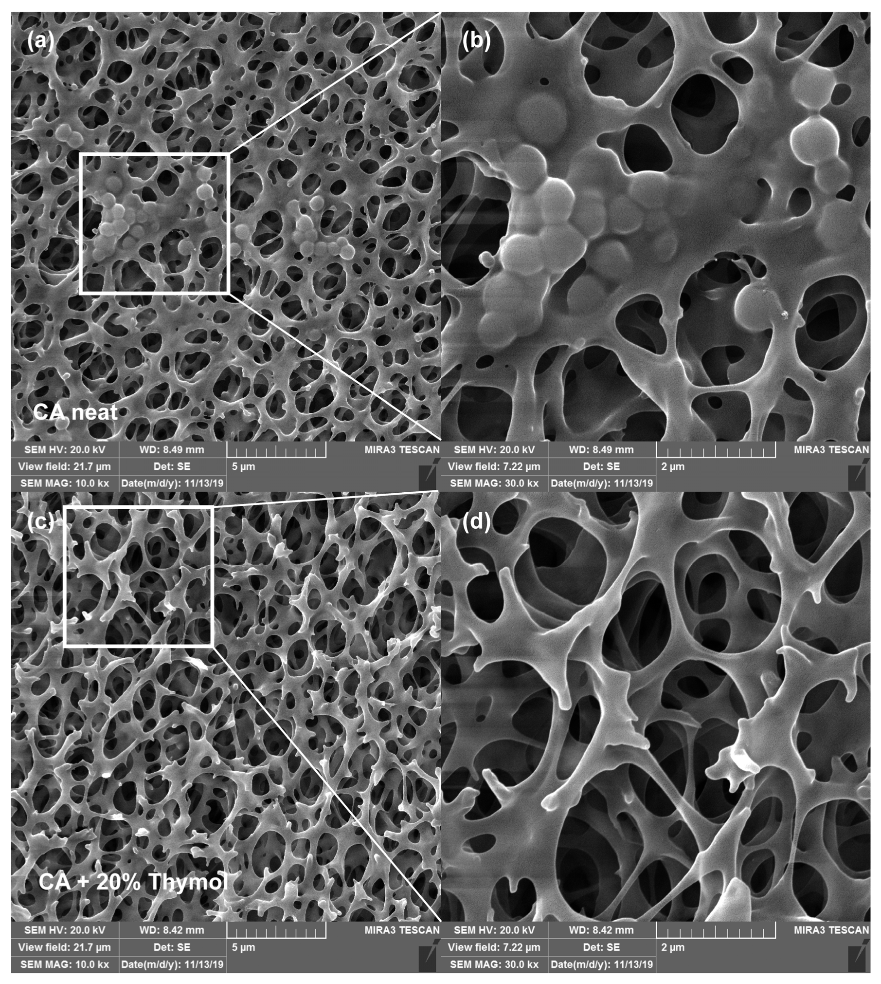 Molecules 26 00411 g005 Molecules 26 00411 g005