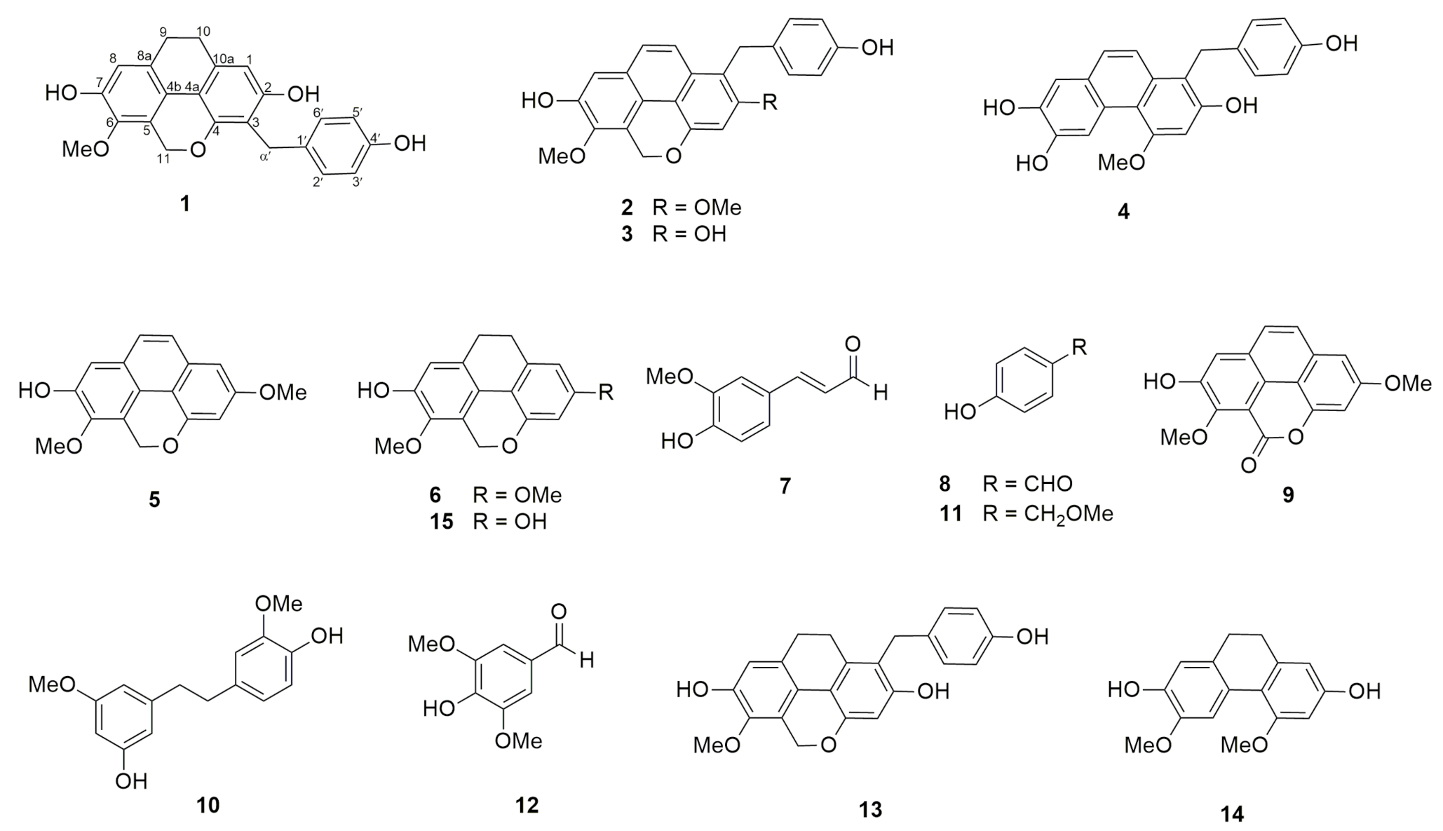 Molecules 26 00418 g002 Molecules 26 00418 g002