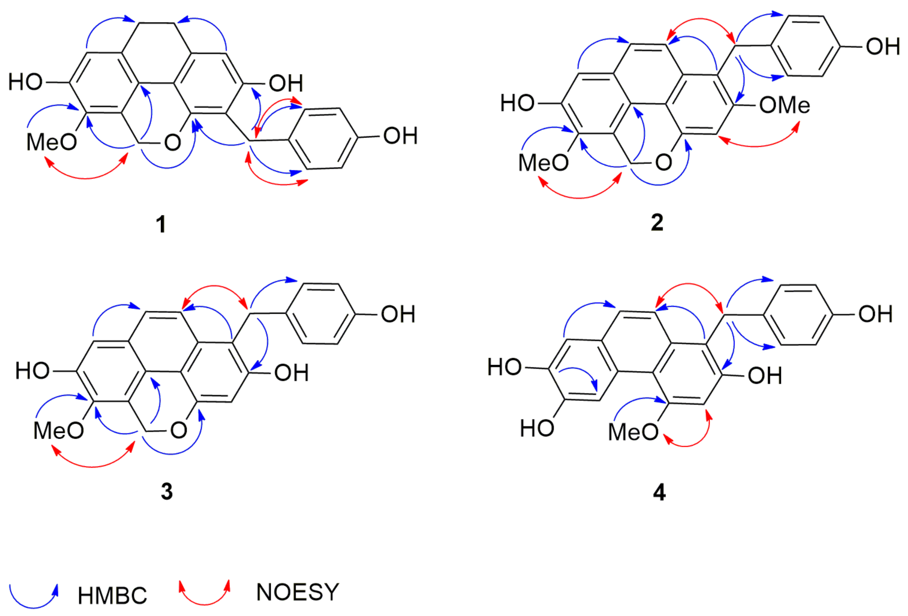 Molecules 26 00418 g003 Molecules 26 00418 g003