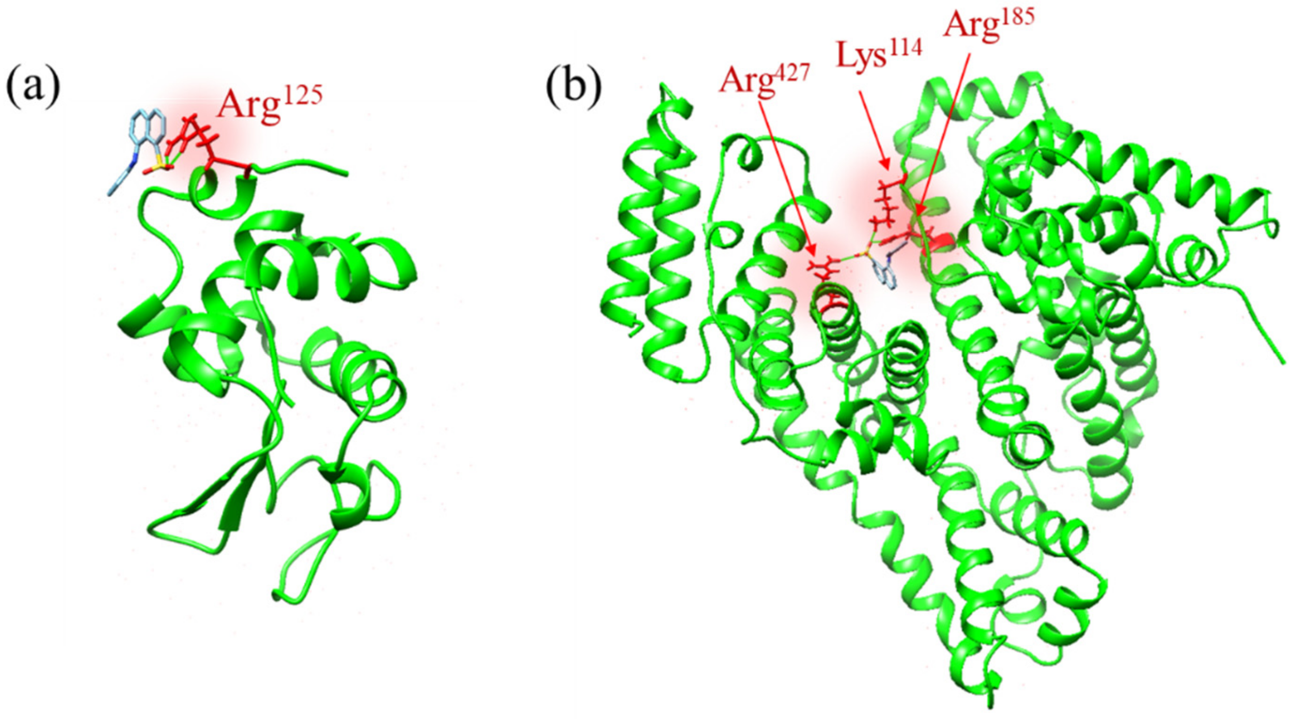 Molecules 26 00420 g003 Molecules 26 00420 g003