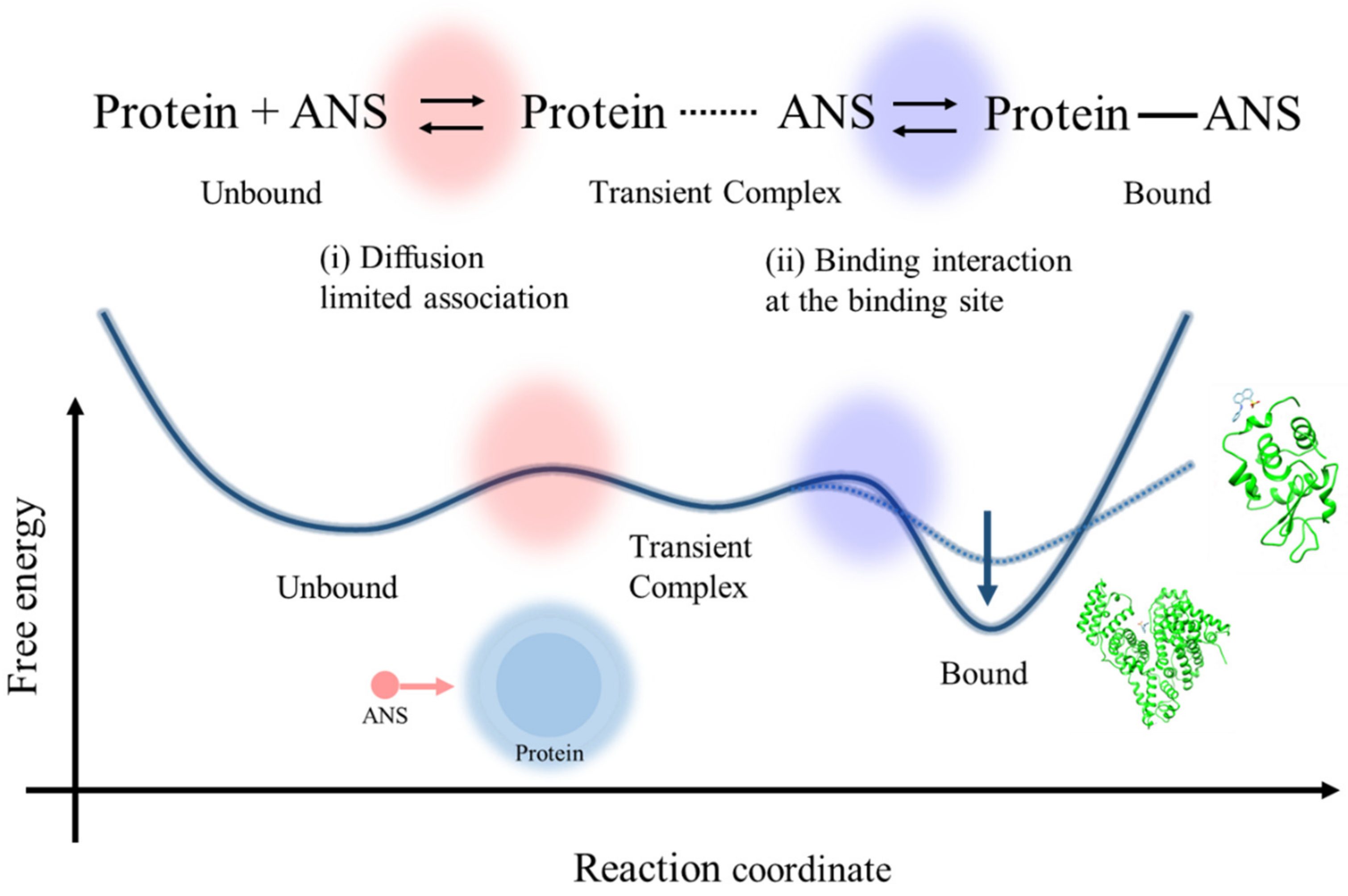 Molecules Free FullText Revisiting the RateLimiting Step of the