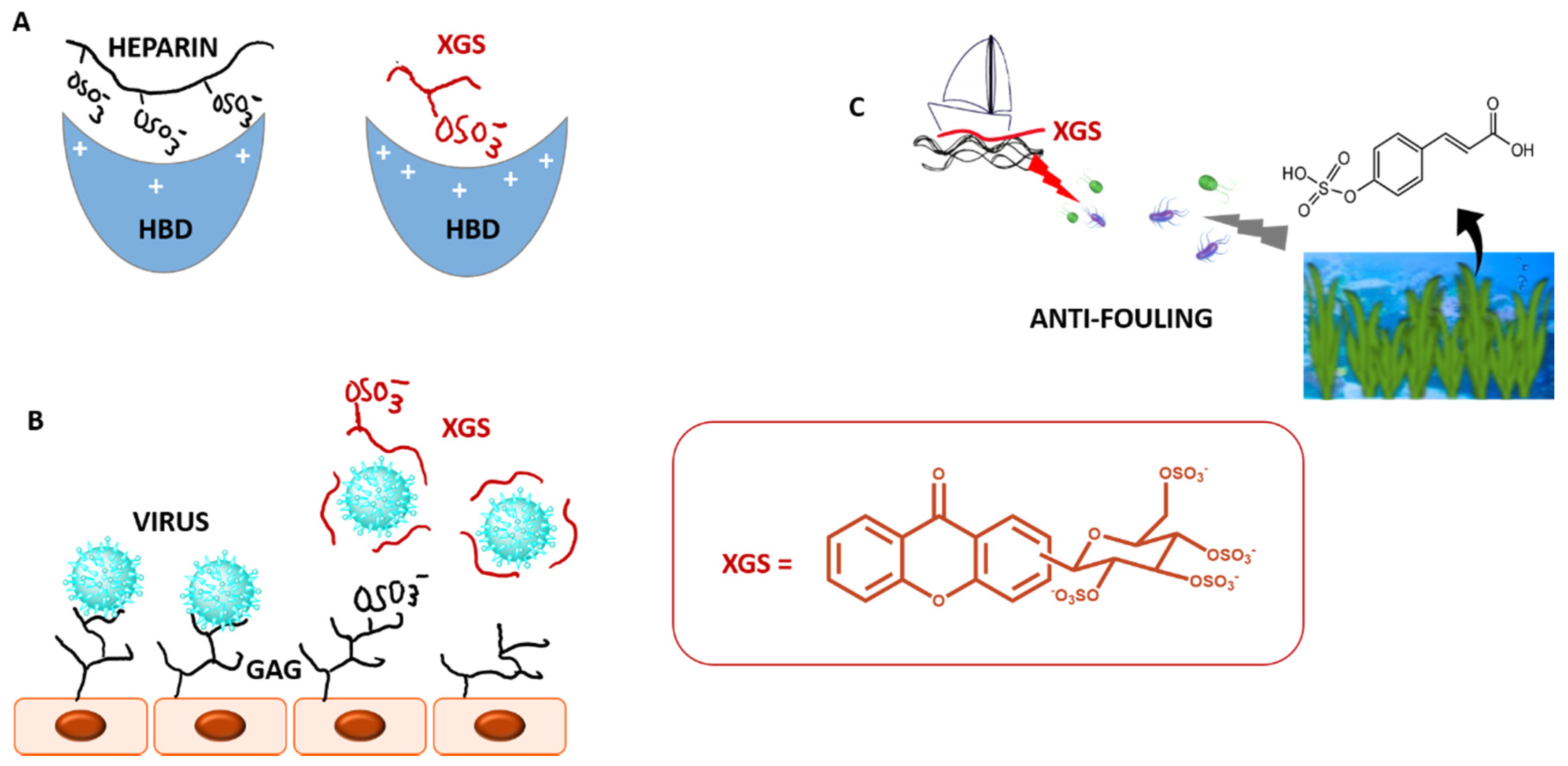 Molecules 26 00431 g014 Molecules 26 00431 g014