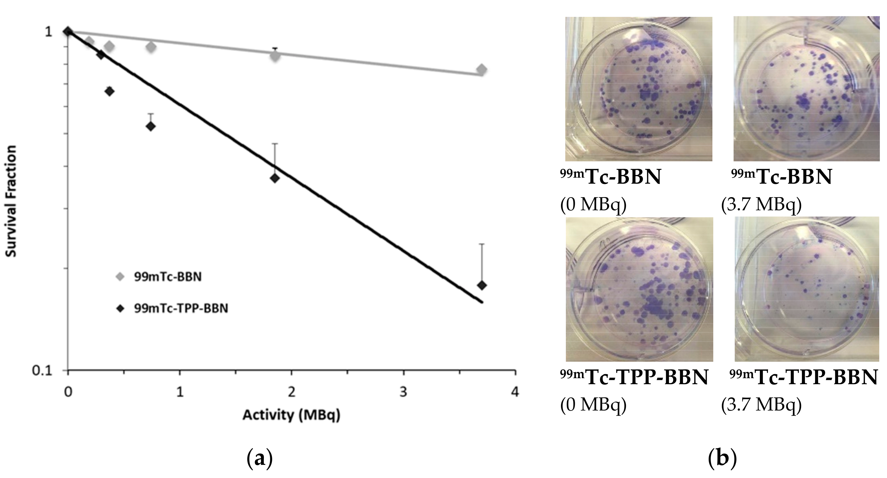 Molecules 26 00441 g007 Molecules 26 00441 g007