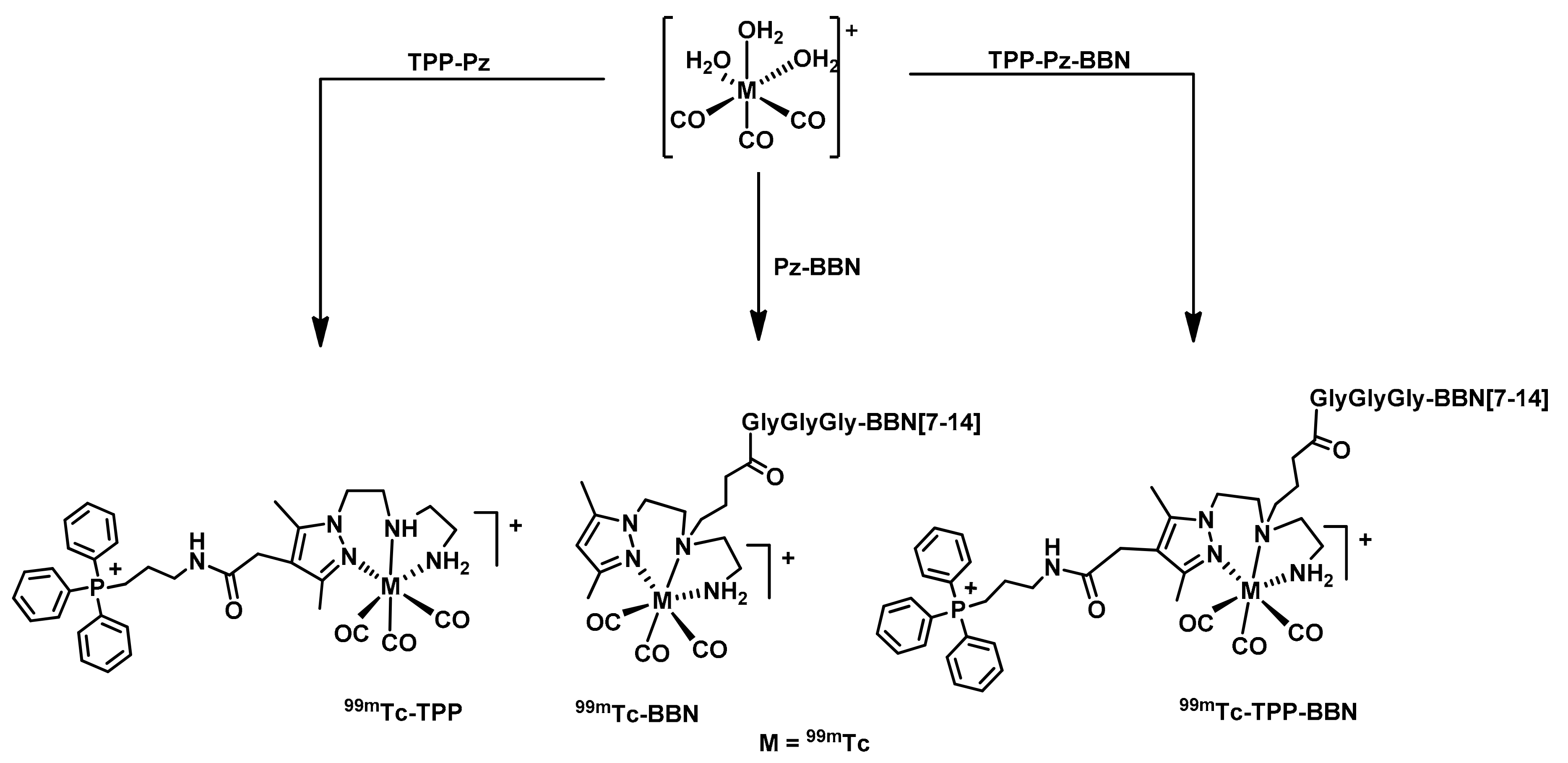 Molecules 26 00441 sch004 Molecules 26 00441 sch004