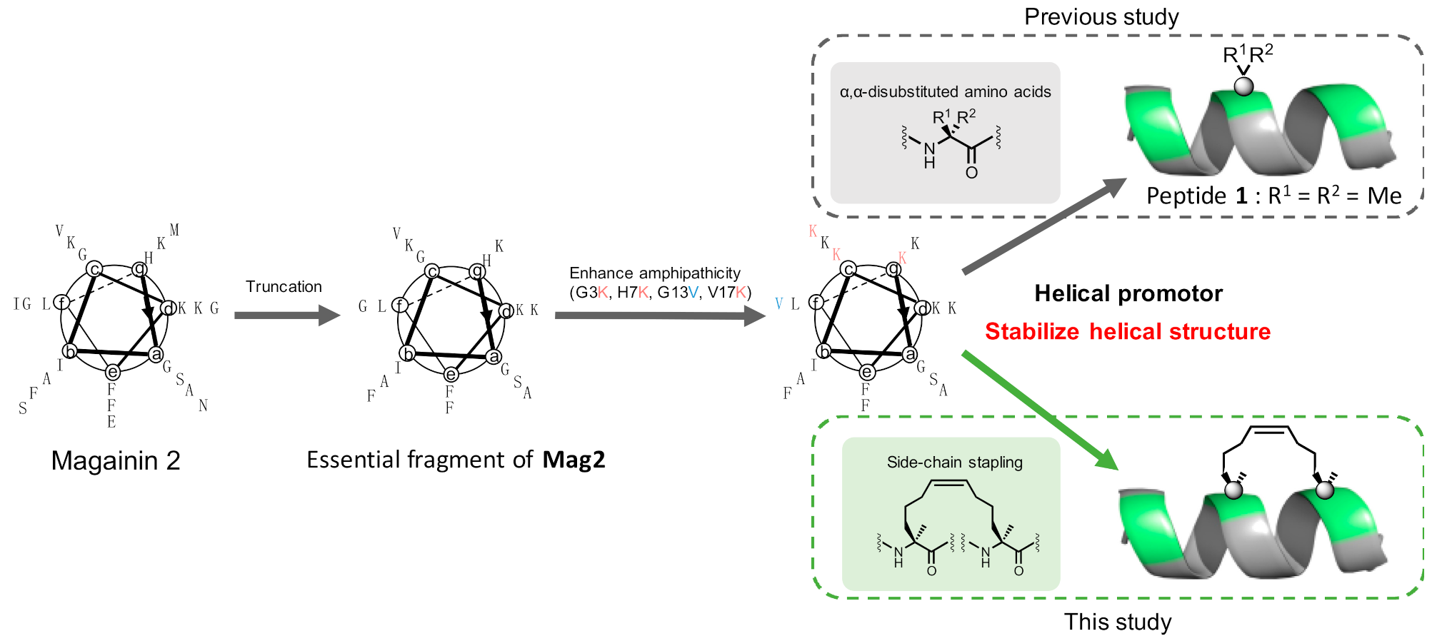 Molecules 26 00444 g001 Molecules 26 00444 g001