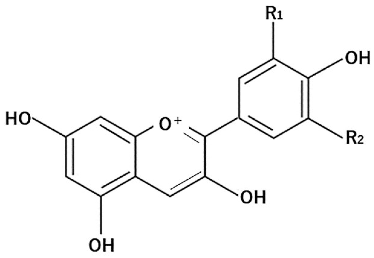 Molecules 26 00450 g004 Molecules 26 00450 g004